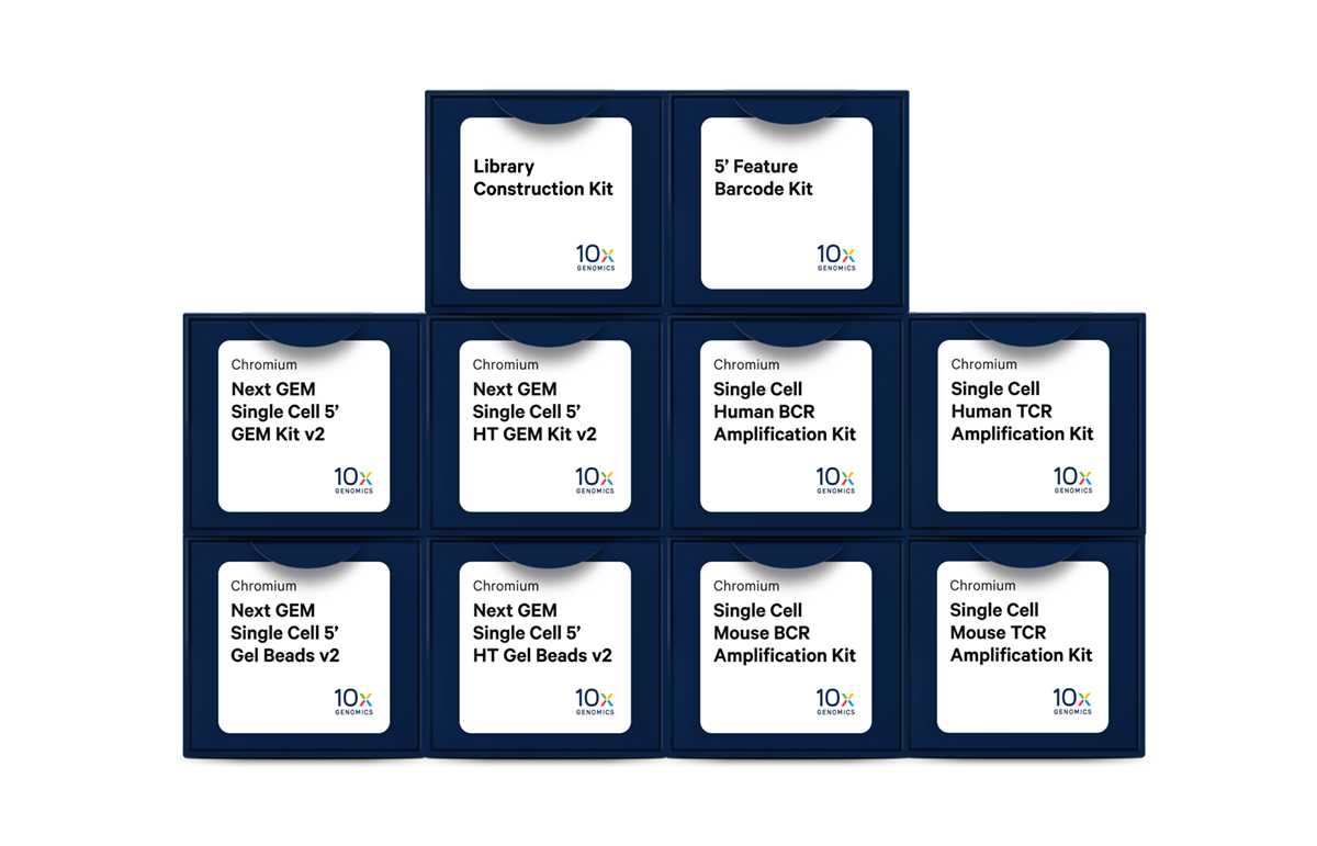 Chromium シングルセル免疫プロファイリング試薬