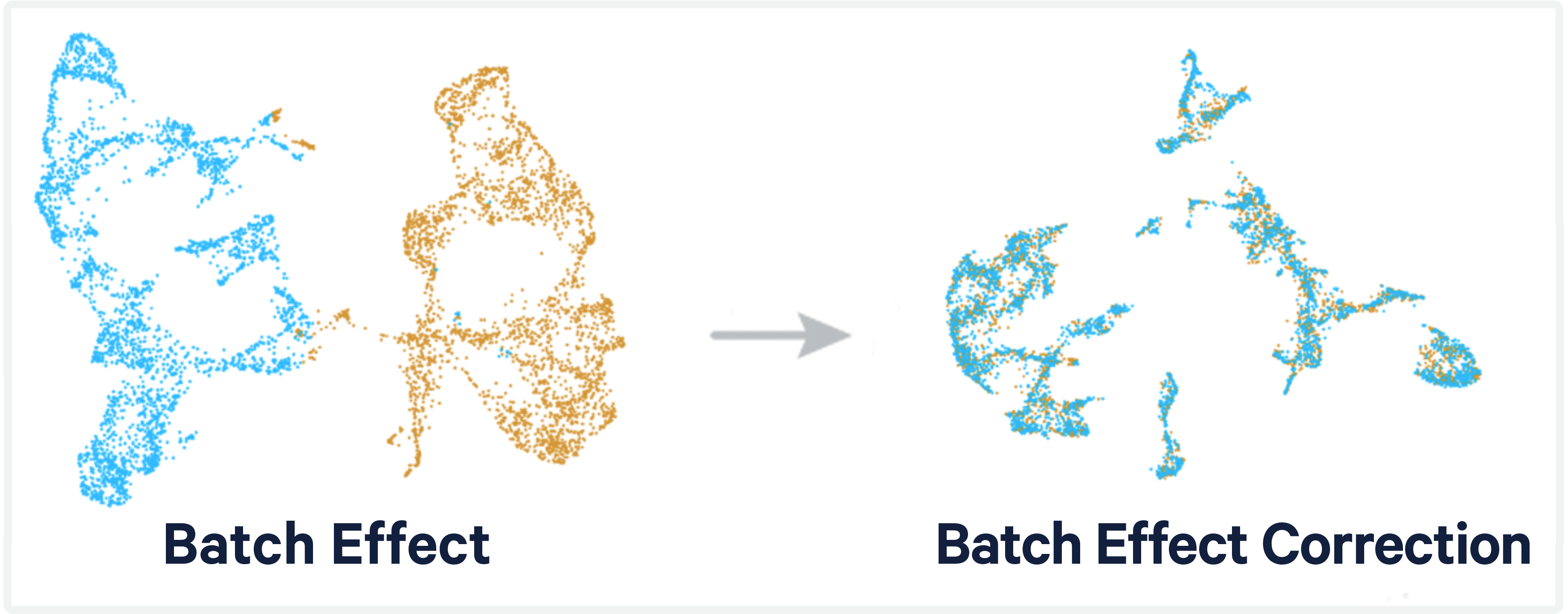 Understanding and Tackling Batch Effects in Single-Cell RNA-Seq Analysis