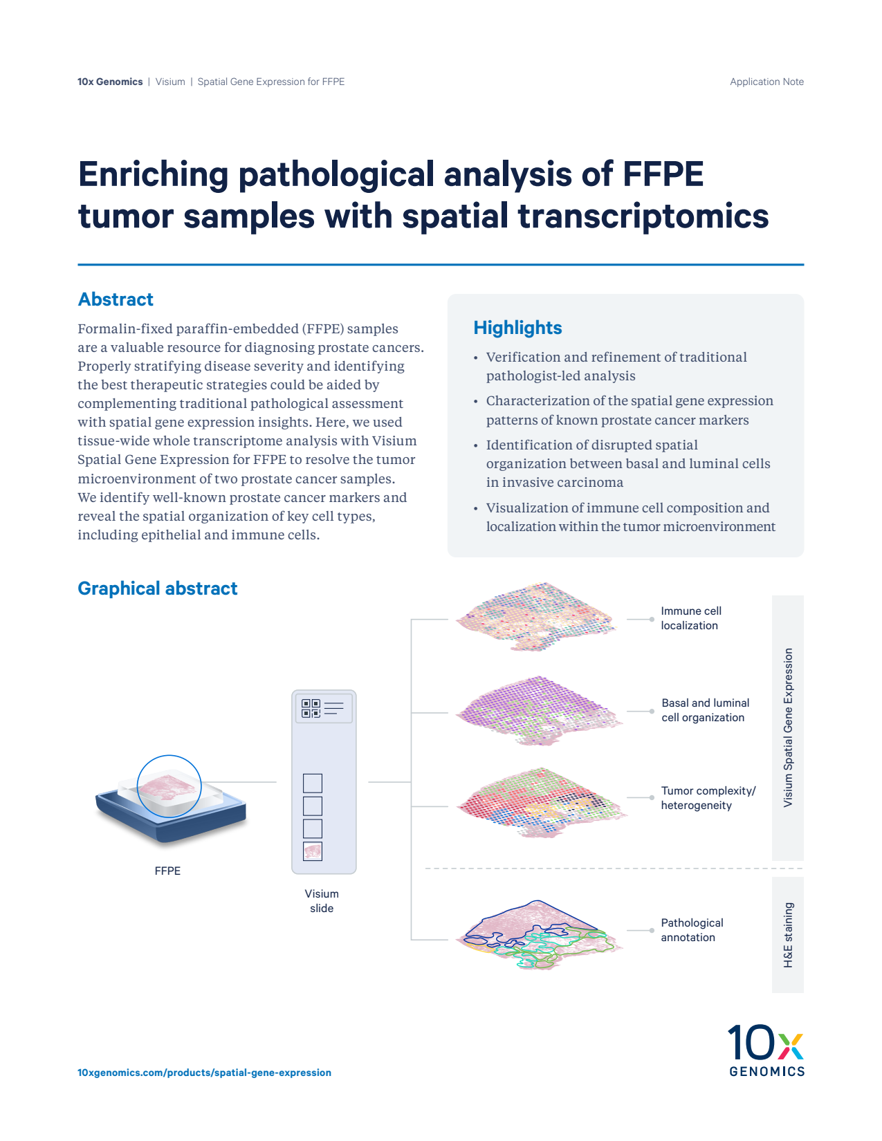 Enriching pathological analysis of FFPE tumor samples with spatial transcriptomics