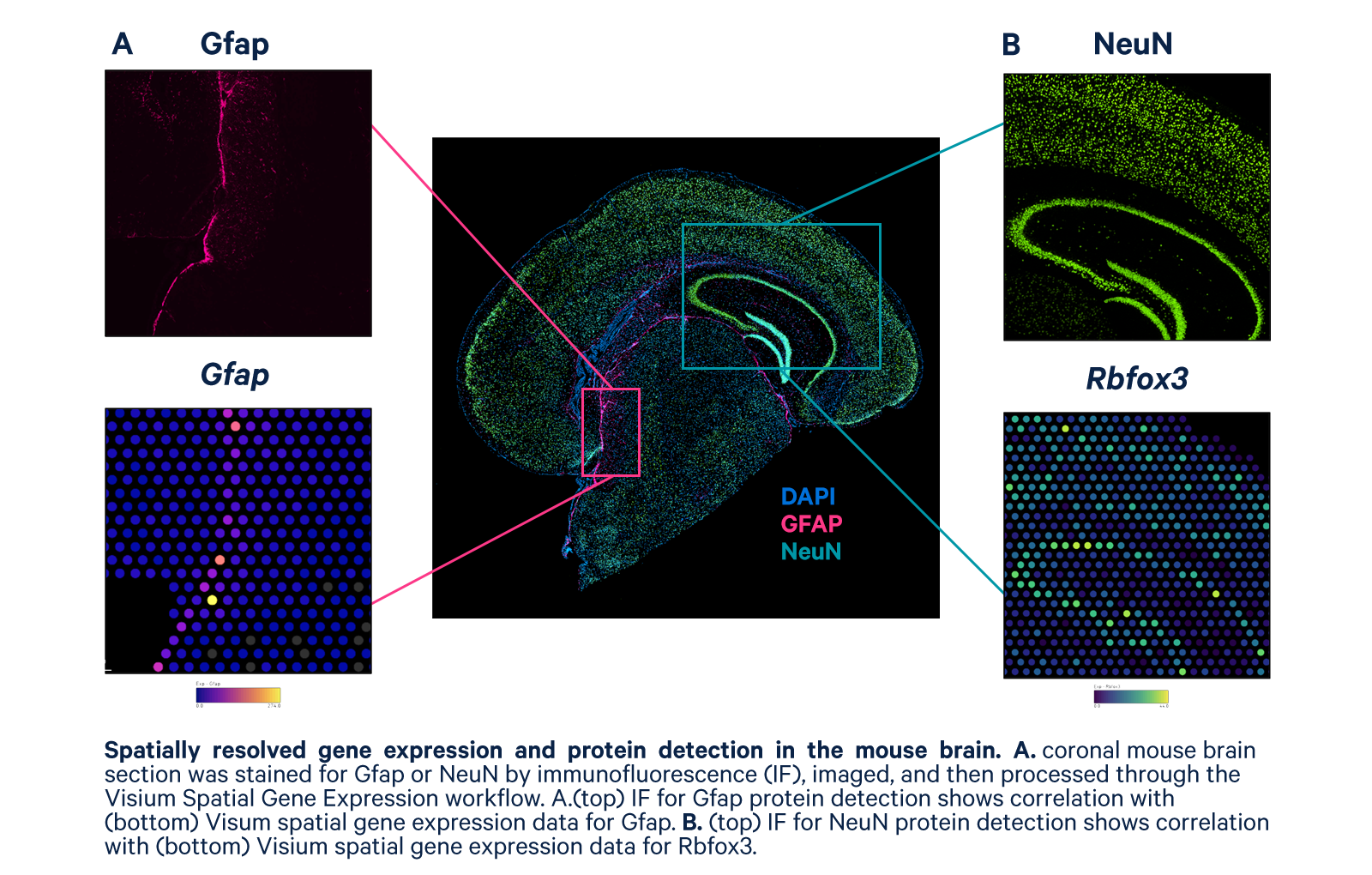 what-is-spatial-visualization-what-careers-use-it-youscience