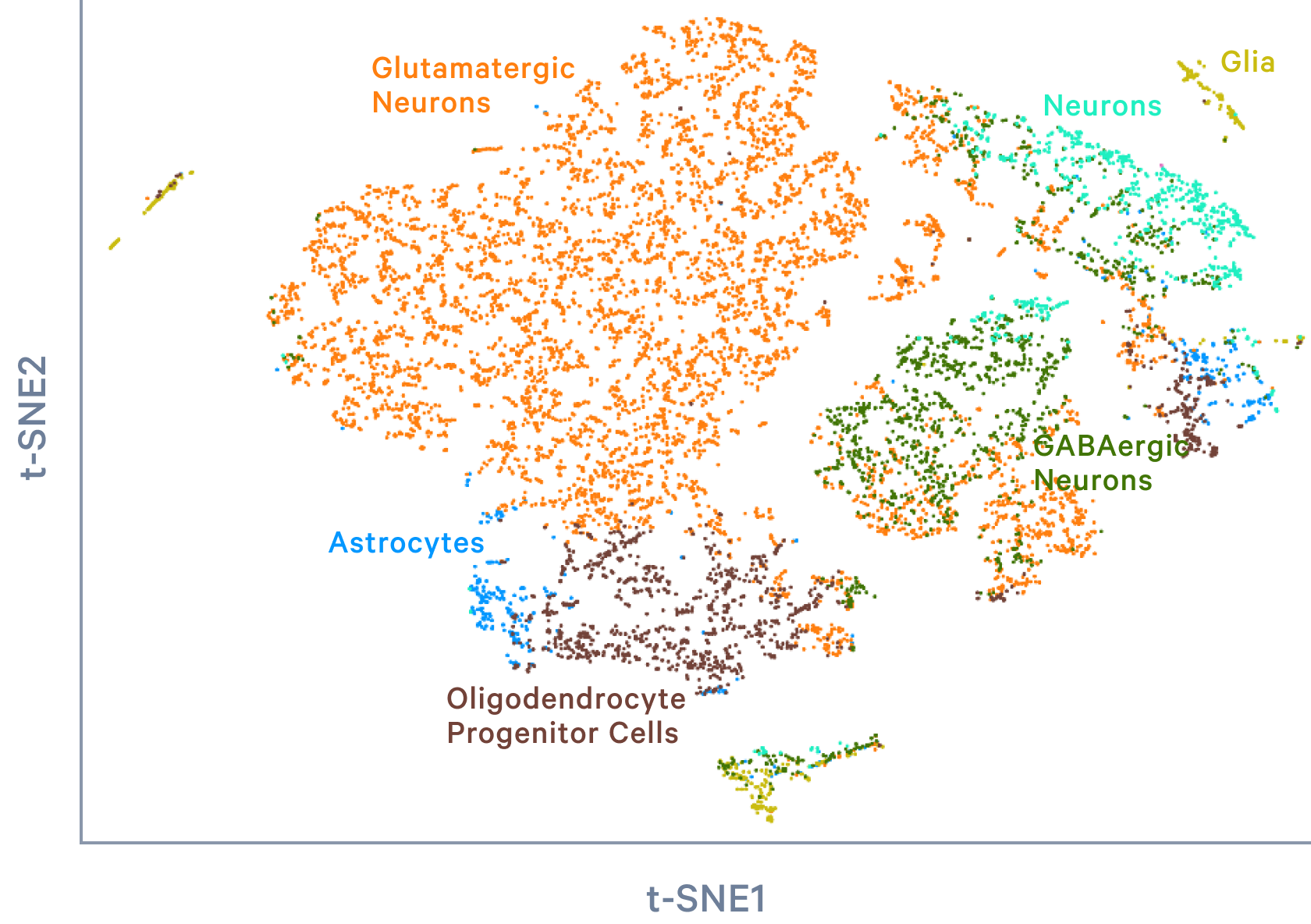 Datasets