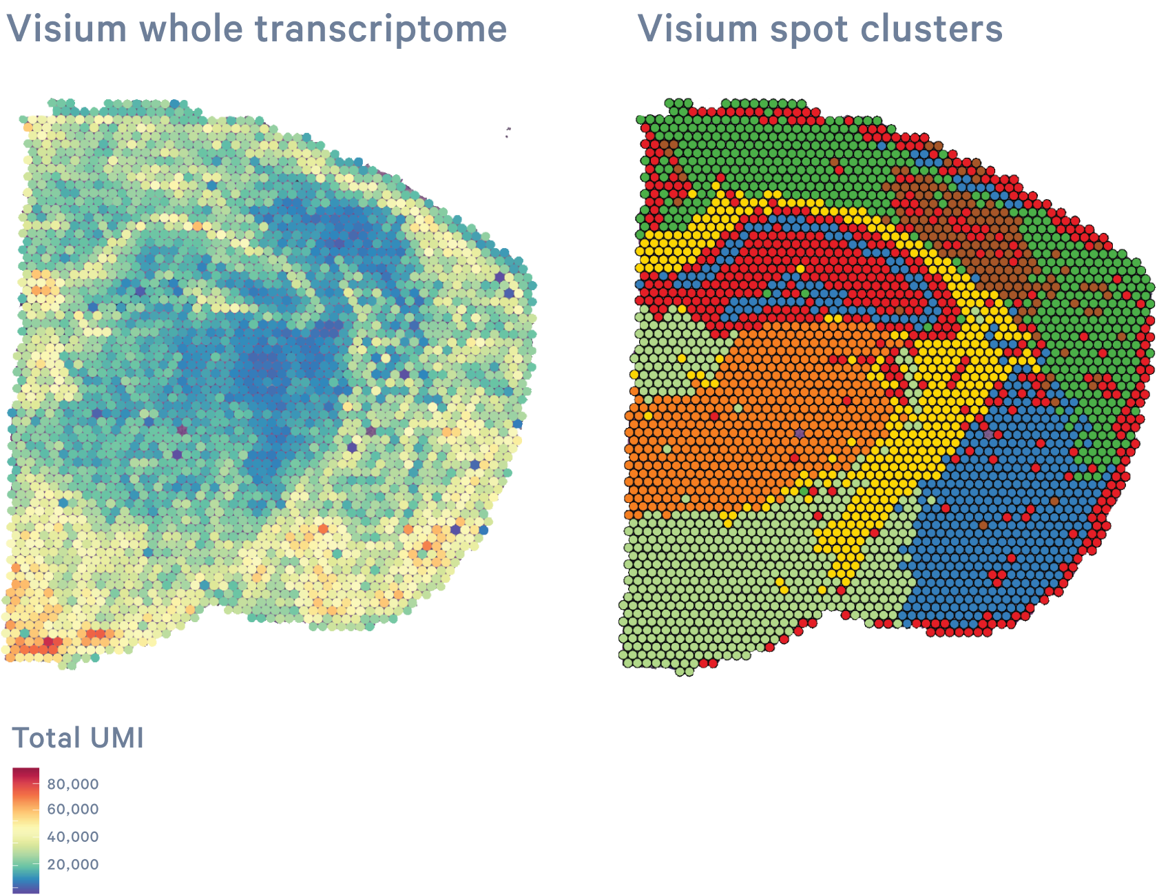 CytAssist Spatial Gene Expression - Official 10x Genomics Support