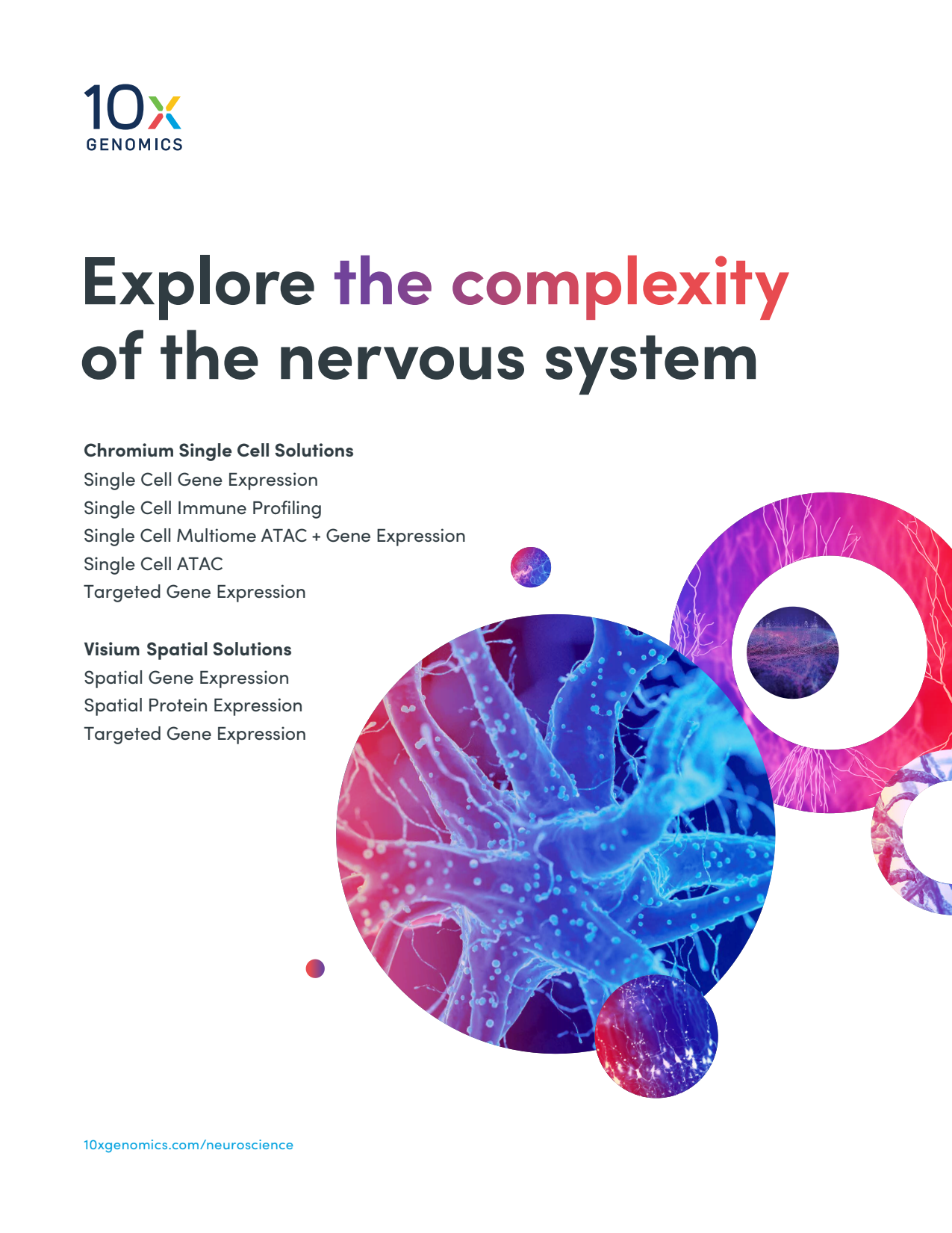 Neuroscience Brochure: Explore the complexity of the nervous system