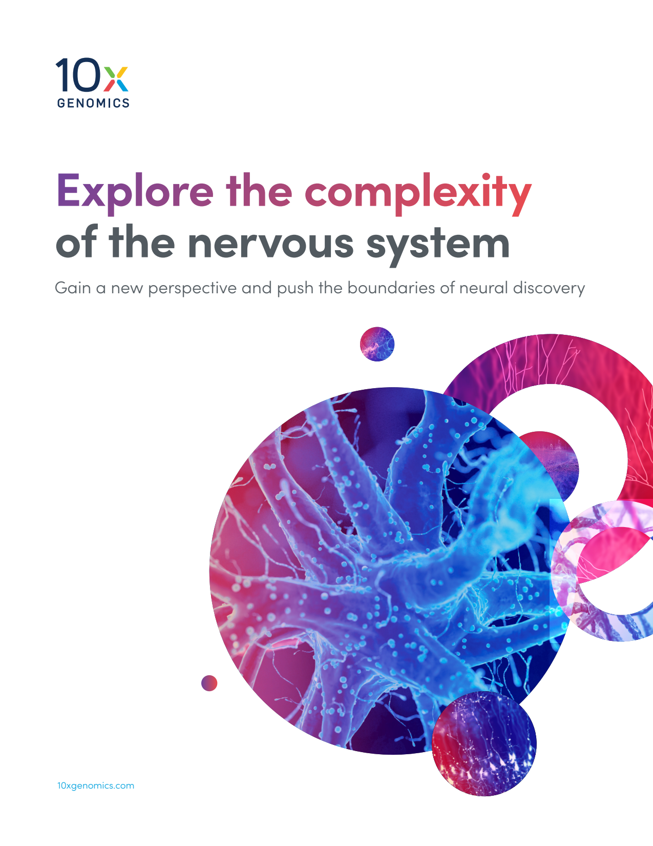 Neuroscience eBook: Explore the complexity of the nervous system