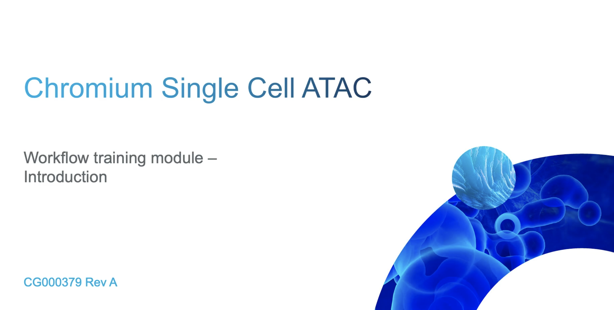 Chromium Next GEM Single Cell ATAC v1.1 video