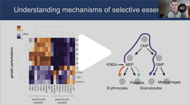Resolving functional genomics research with single cell resolution using CRISPR