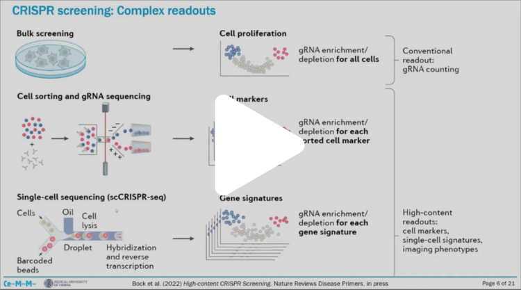 Combinatorial single cell CRISPR screens: Challenges and applications
