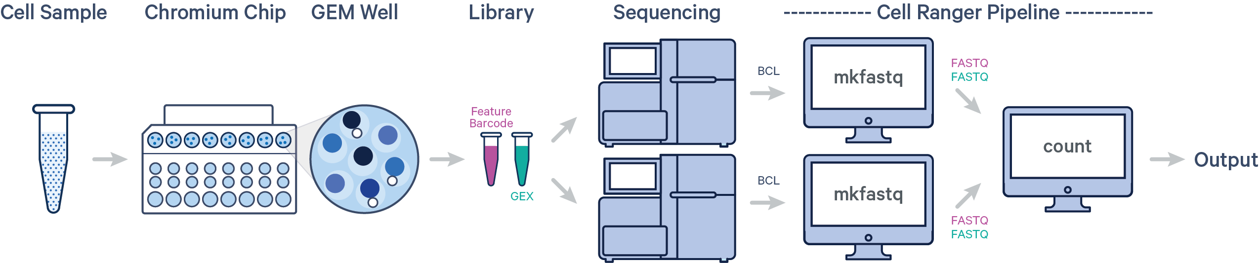 cellranger multiple sequencing runs