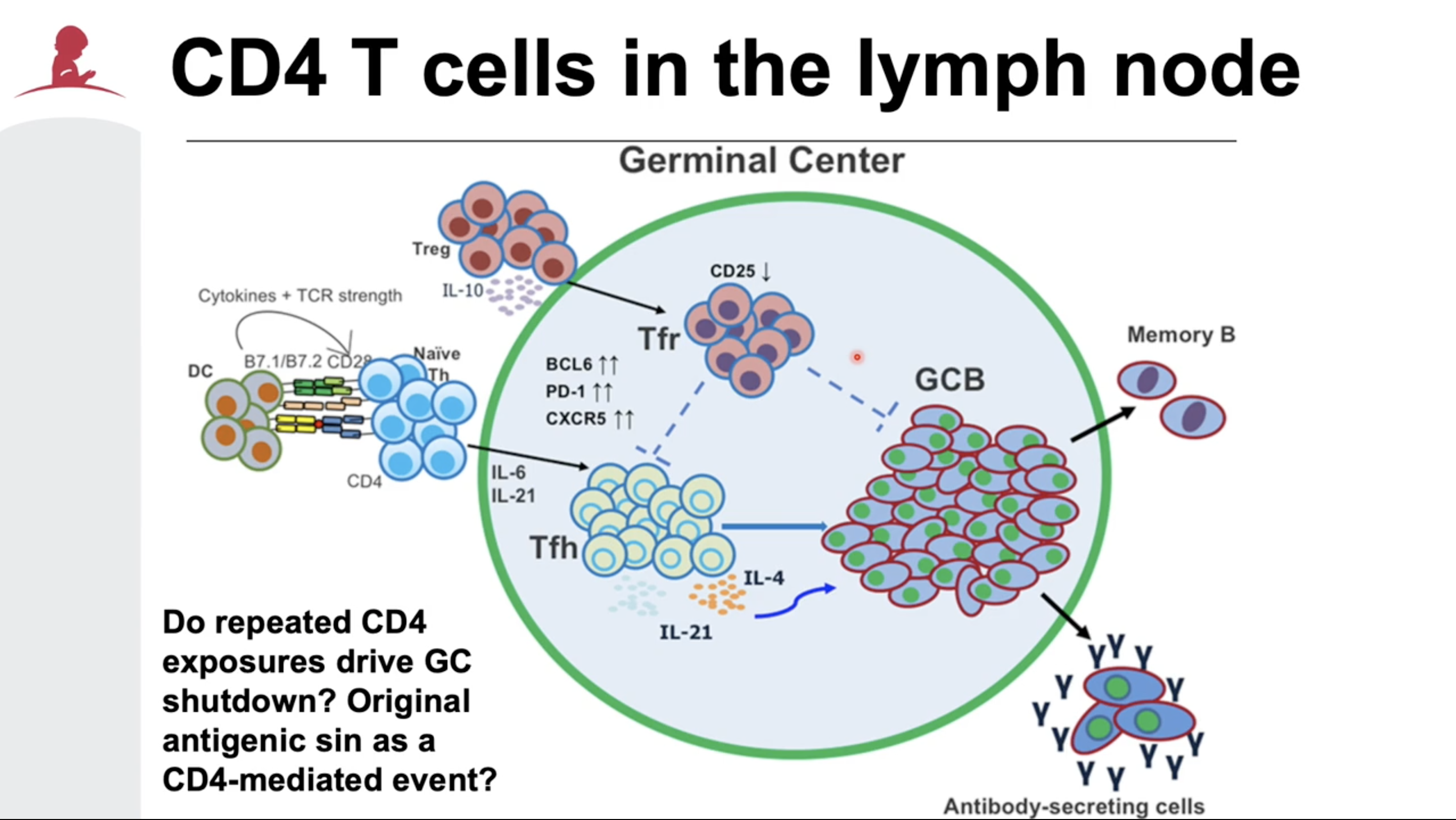 Deconstructing the form and function of T cell responses to infections
