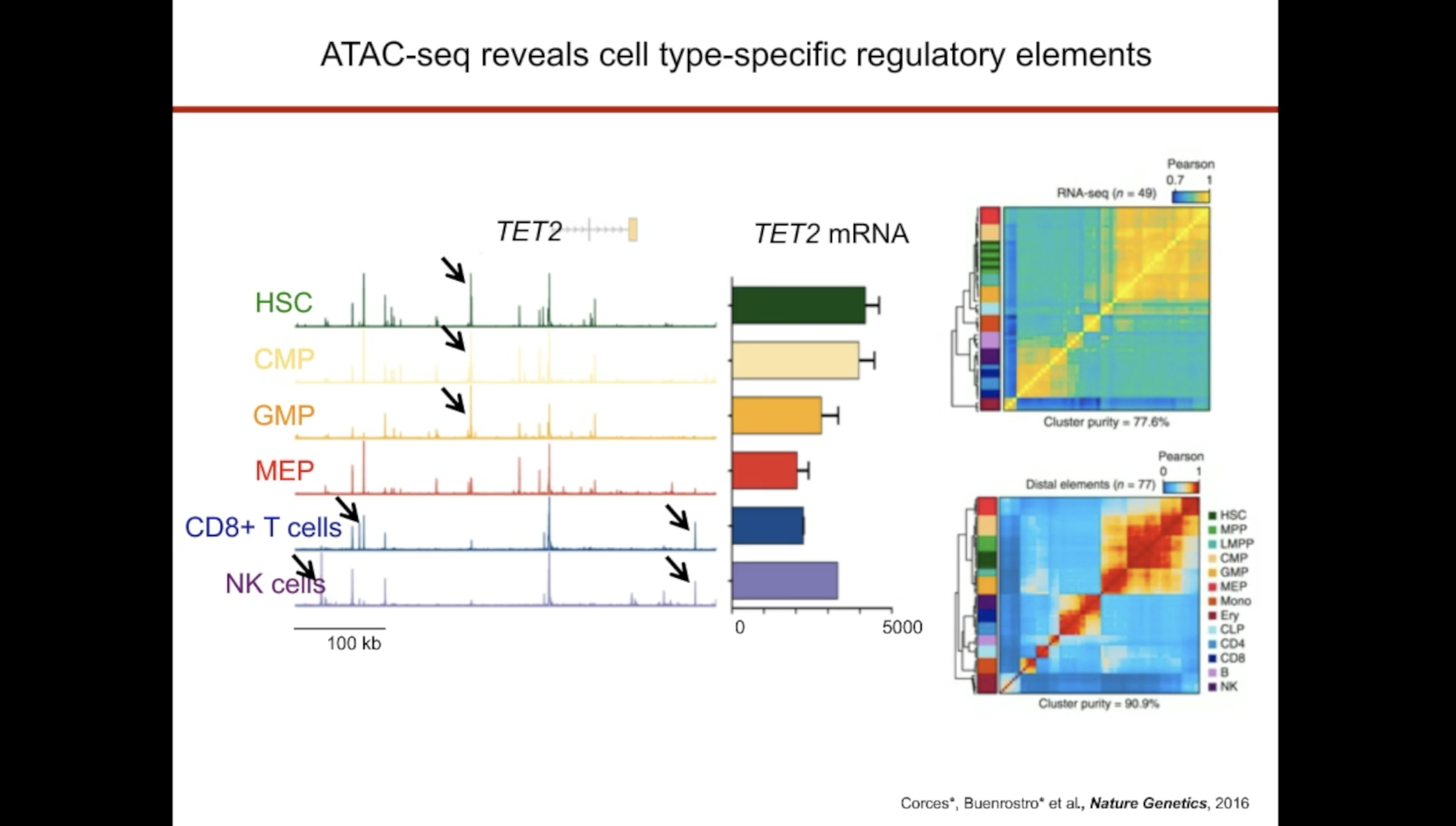 Single cell genomics in checkpoint blockade and CAR-T cell immunotherapy