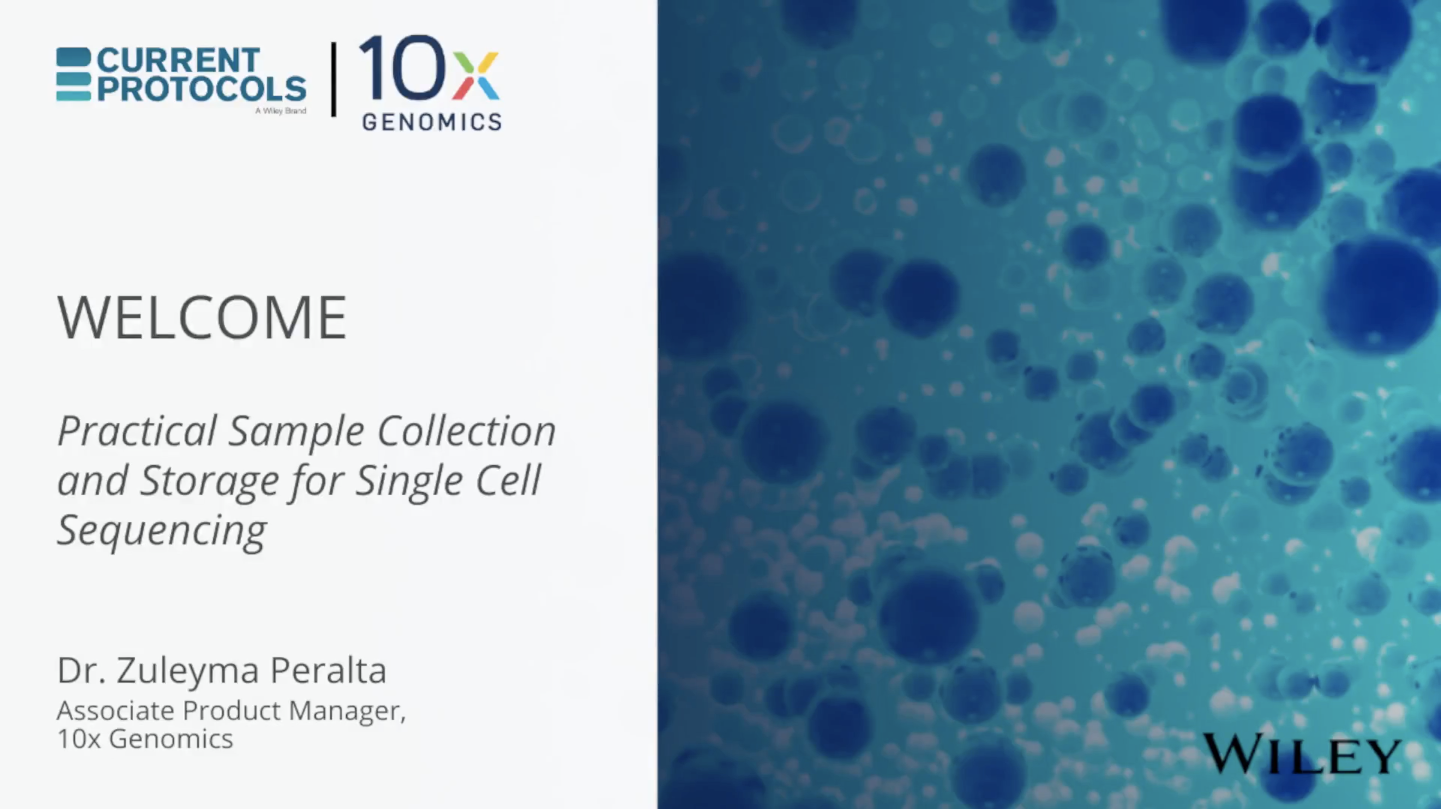 Practical sample collection and storage for single cell sequencing