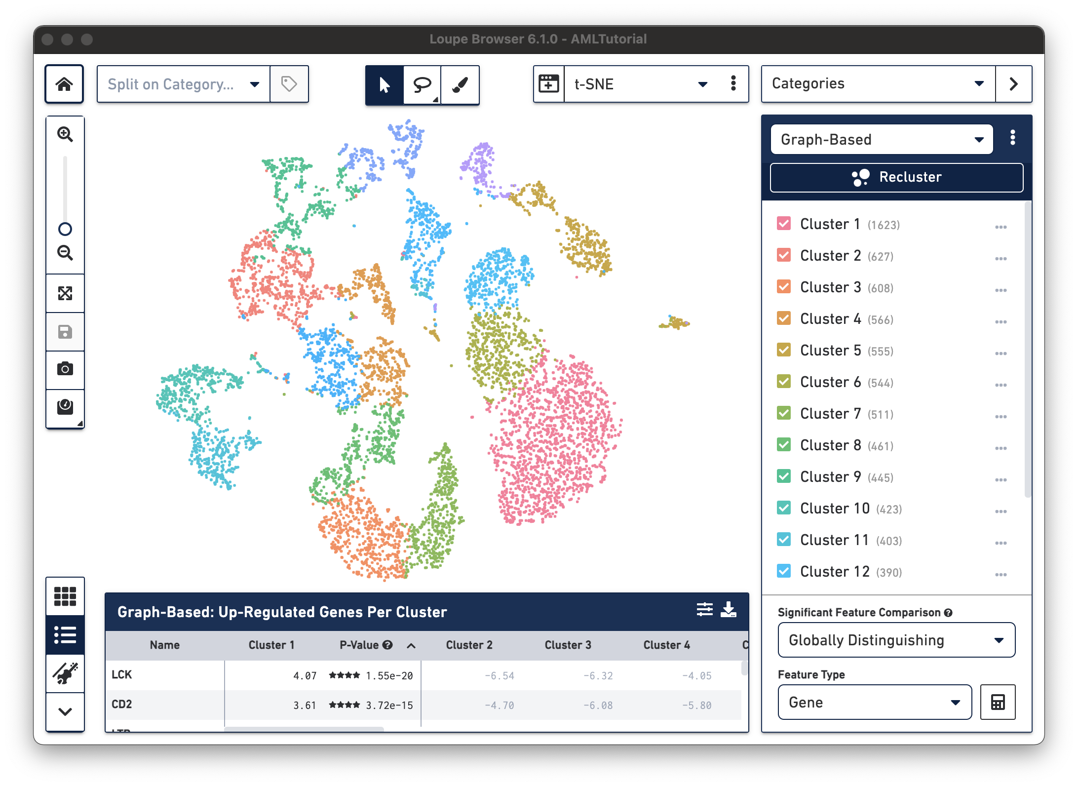 What Is Loupe Browser Software Single Cell Gene Expression Official