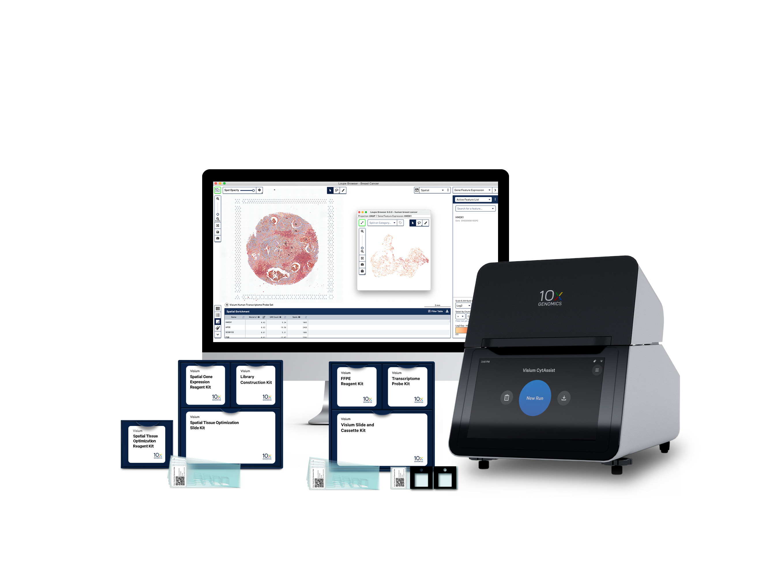 Single Cell Gene Expression