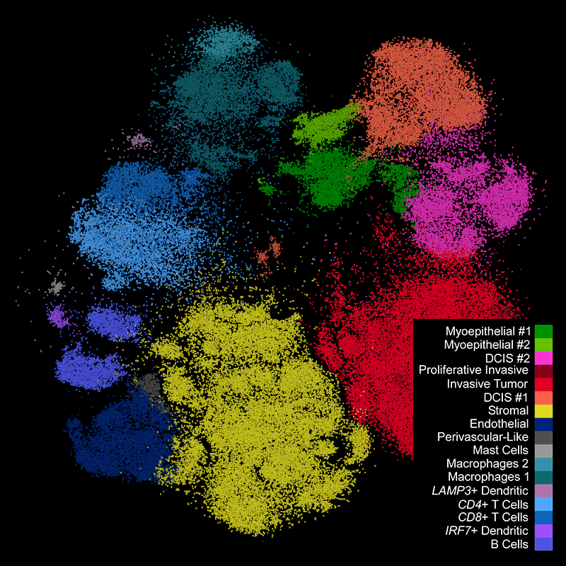 Cells colored by expression profiles in tSNE space and mapped back to original tissue space