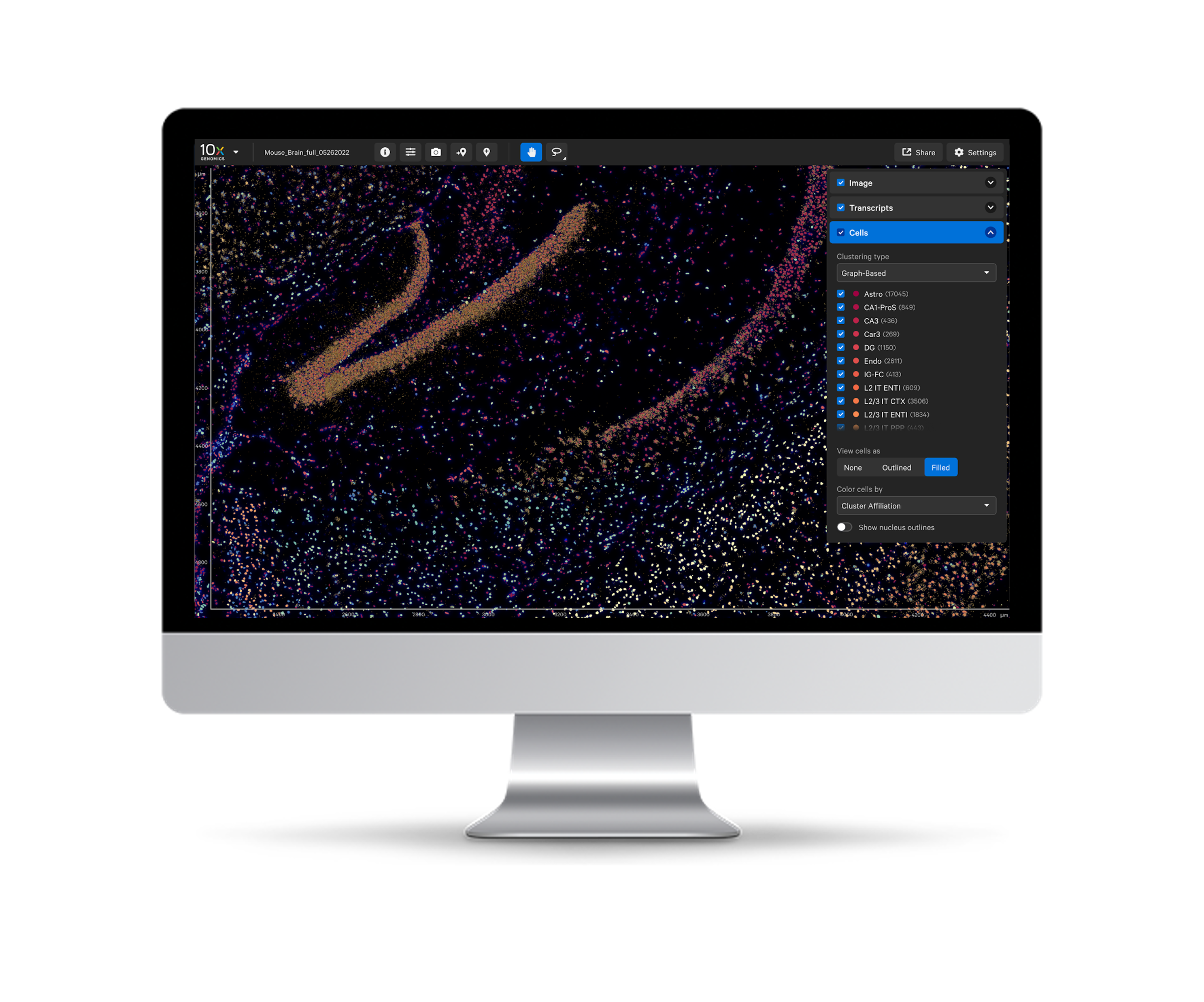 Xenium Analyzer