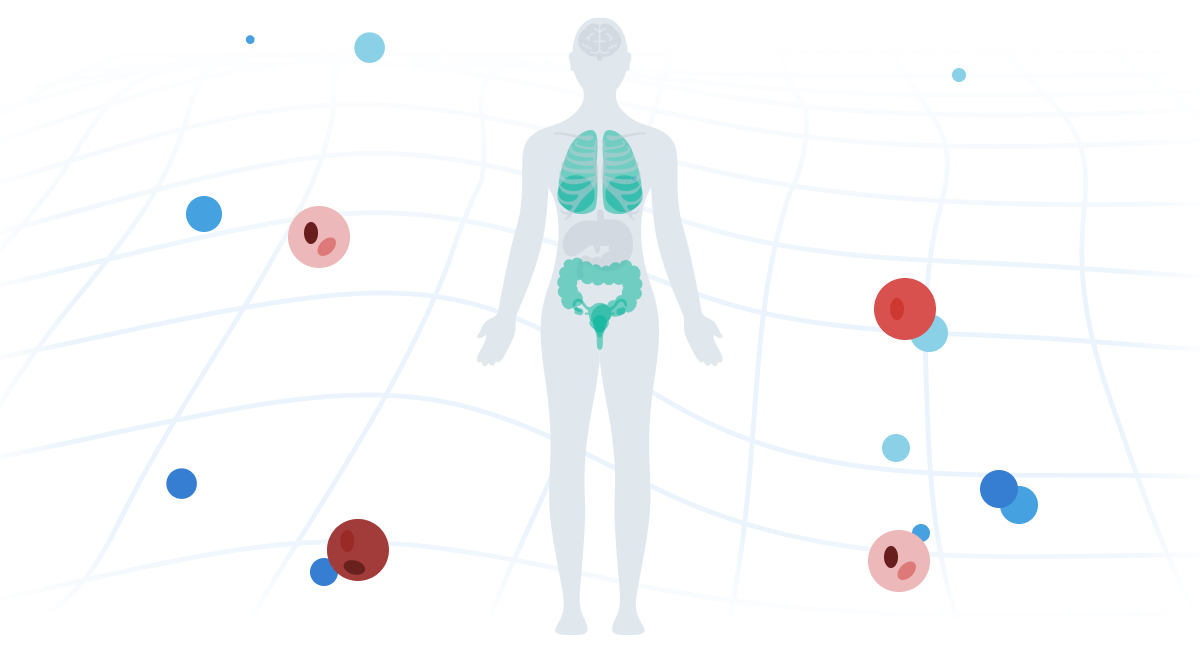 Illustration of a human body in interactive Visium Discovery Hub