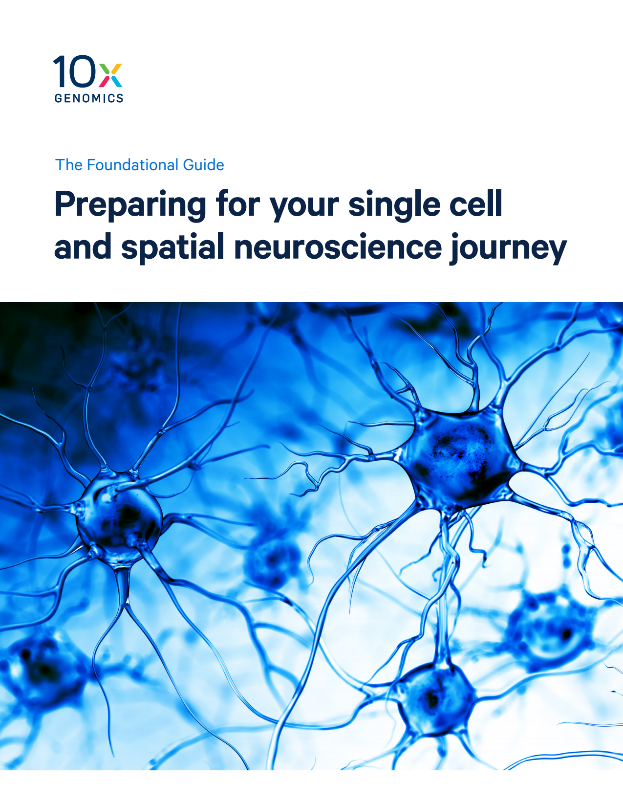 The Foundational Guide: Preparing for your single cell and spatial neuroscience journey