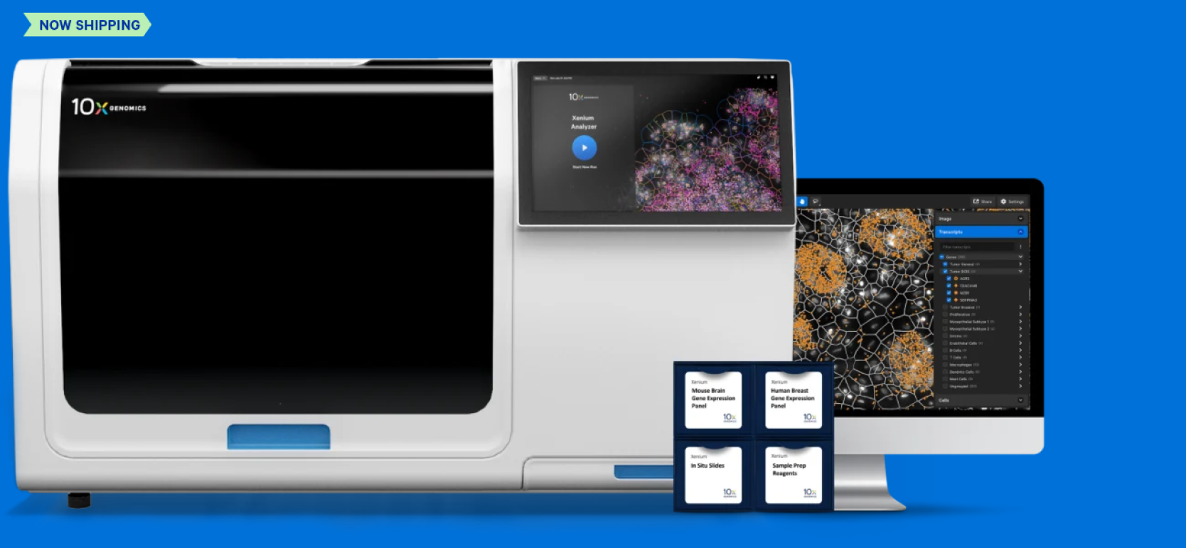 マウス脳神経生物学の探索 | 10x Genomics