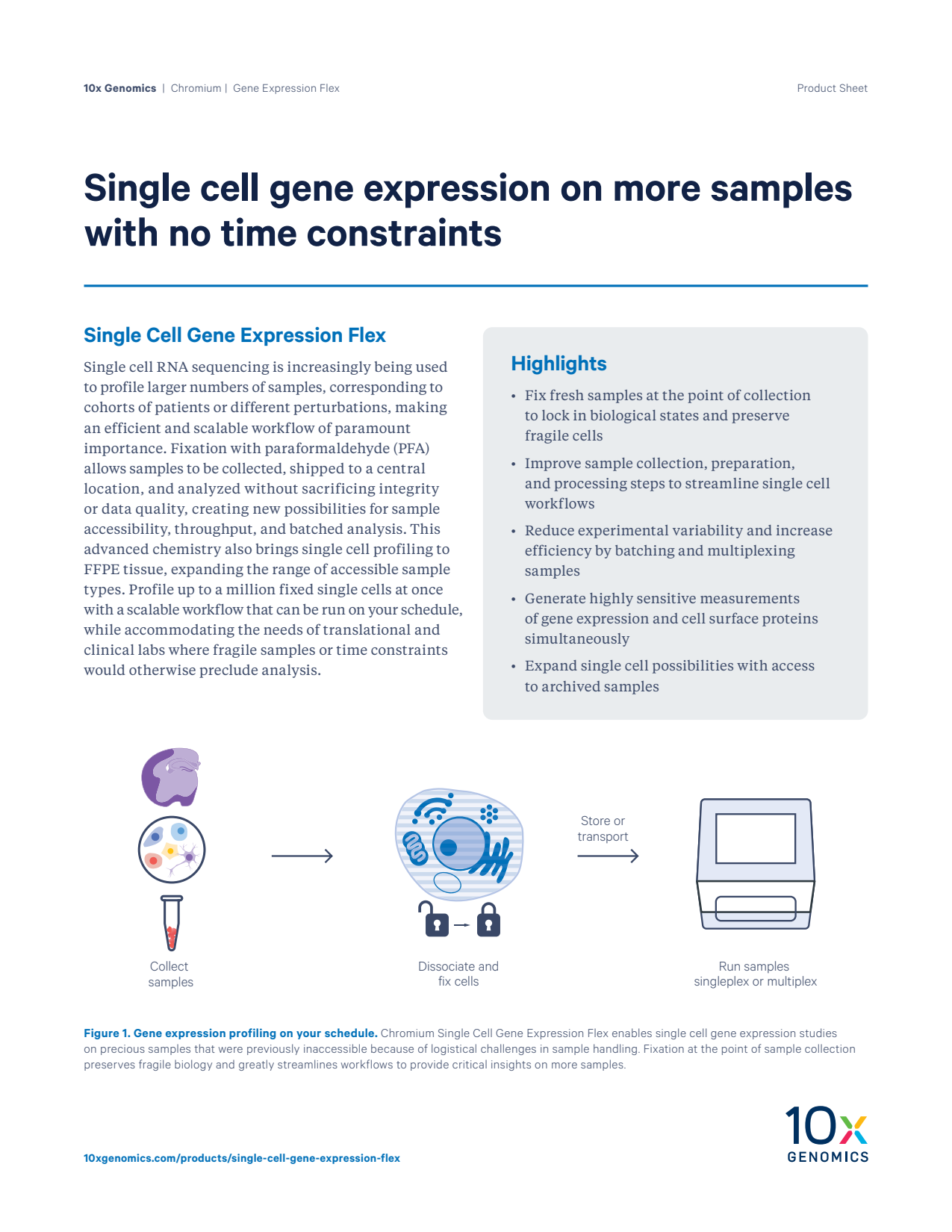 Single Cell Gene Expression Flex Product Sheet: Single cell gene expression on more samples with no time constraints
