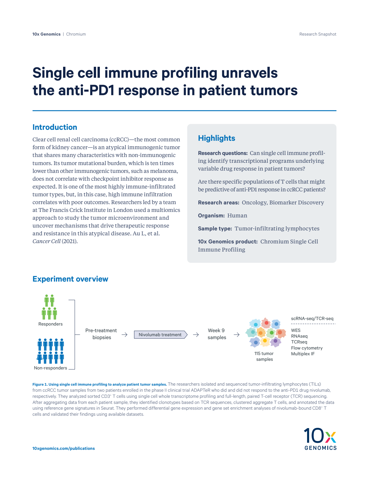 10x_230014CHR_LIT000202_Resear