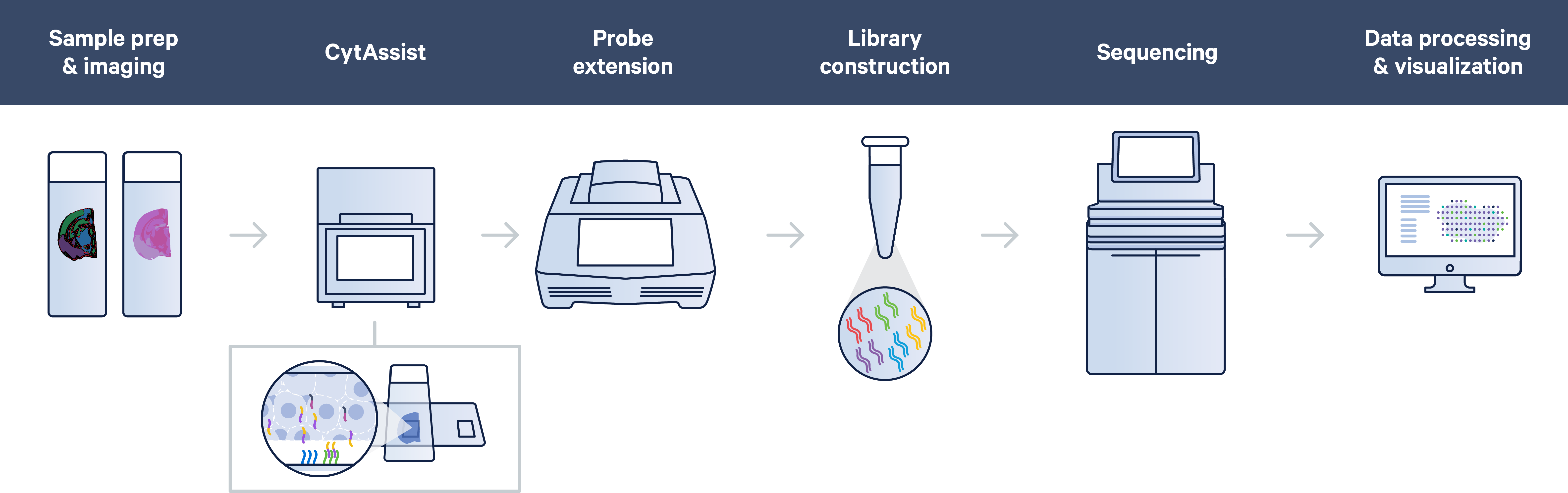 Visium for FFPE workflow, including transfer of sample from standard glass slide to Visium slide using CytAssist