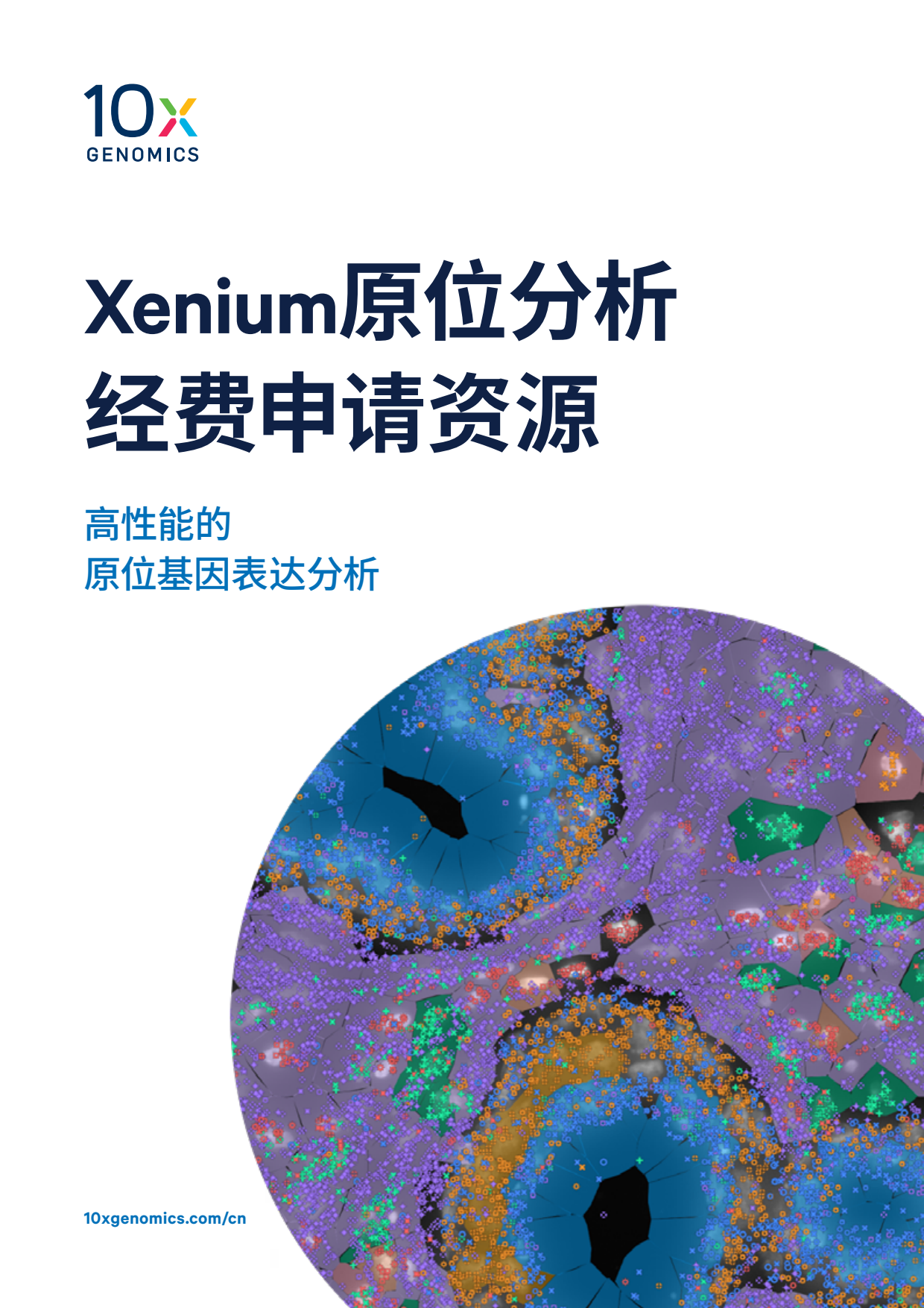 Xenium分析仪 组织空间原位分析—— 甄选的内容， 精准的位置