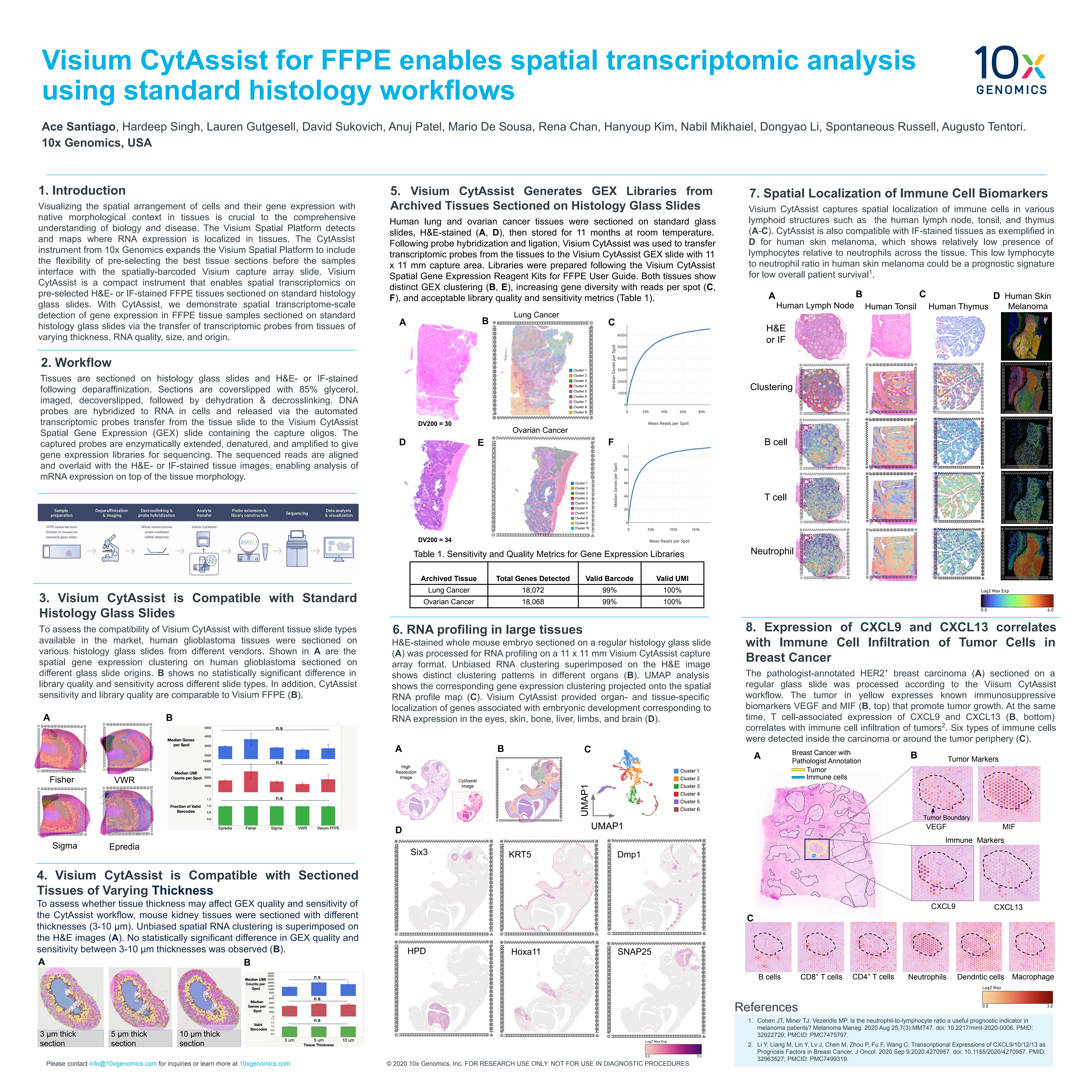 Visium CytAssist for FFPE enables spatial transcriptomic analysis using standard histology workflows
