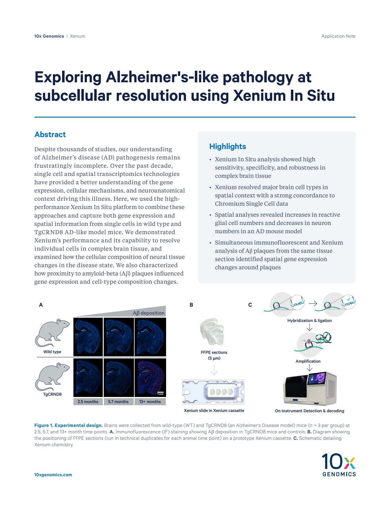 Exploring Alzheimer's-like pathology at subcellular resolution using Xenium In Situ