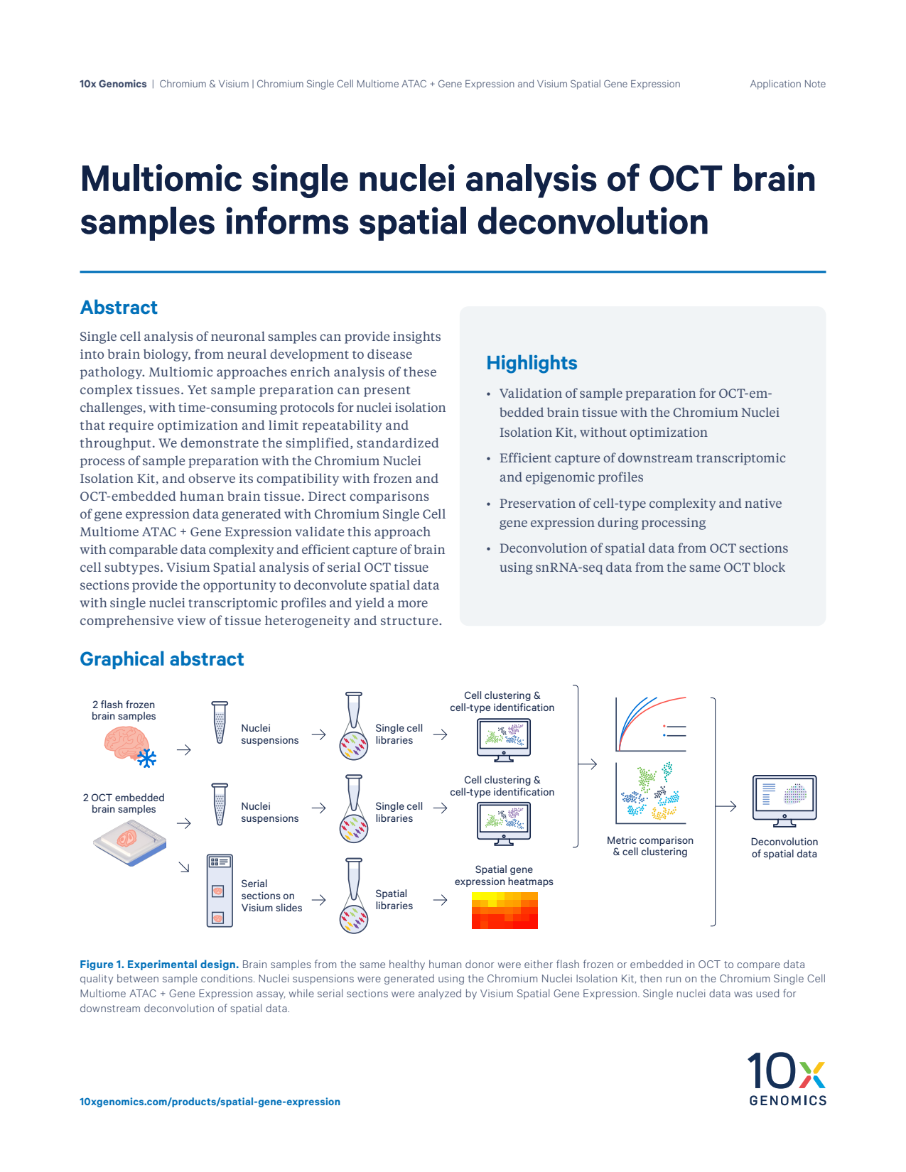 Multiomic single nuclei analysis of OCT brain samples informs spatial deconvolution