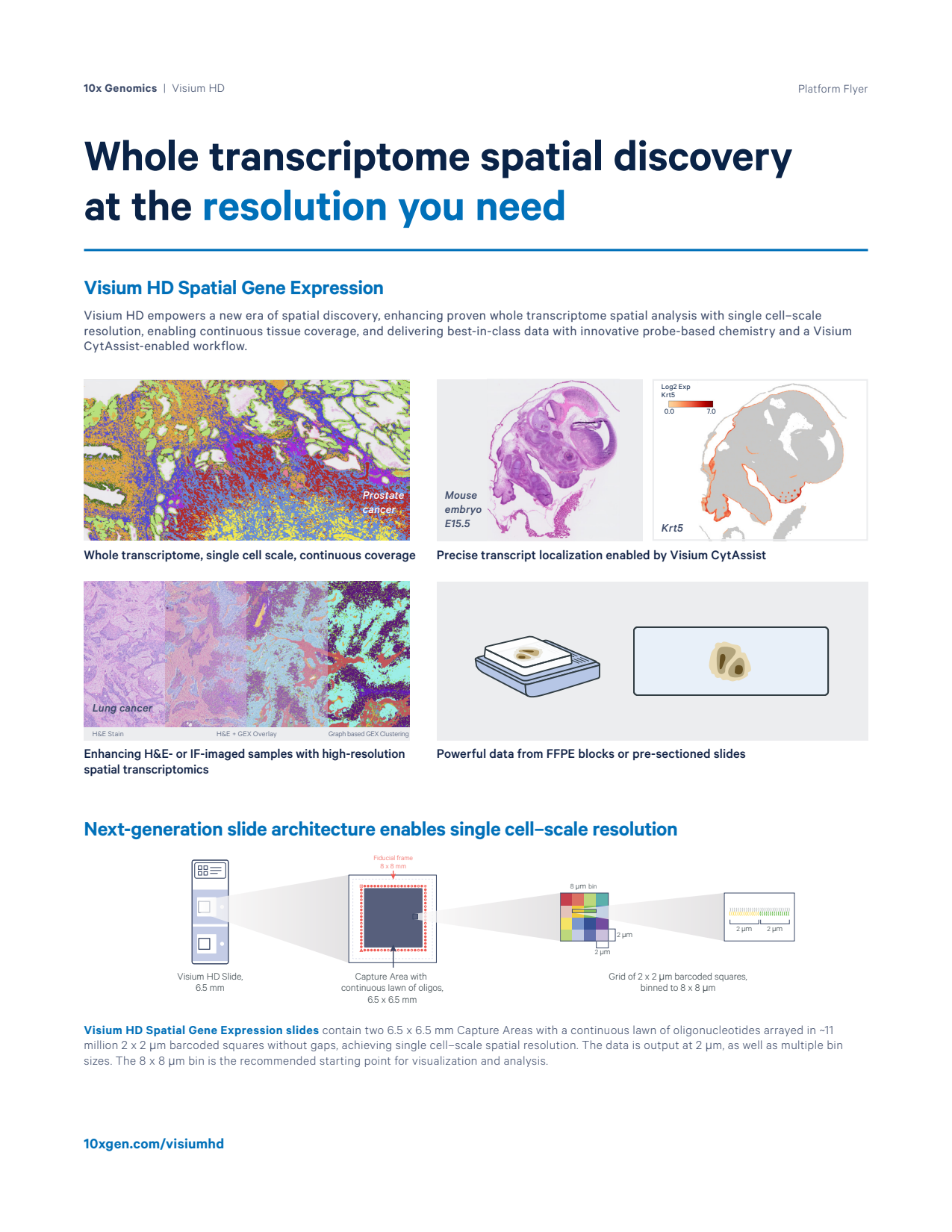 Visium HD: Whole transcriptome spatial discovery at the resolution you need