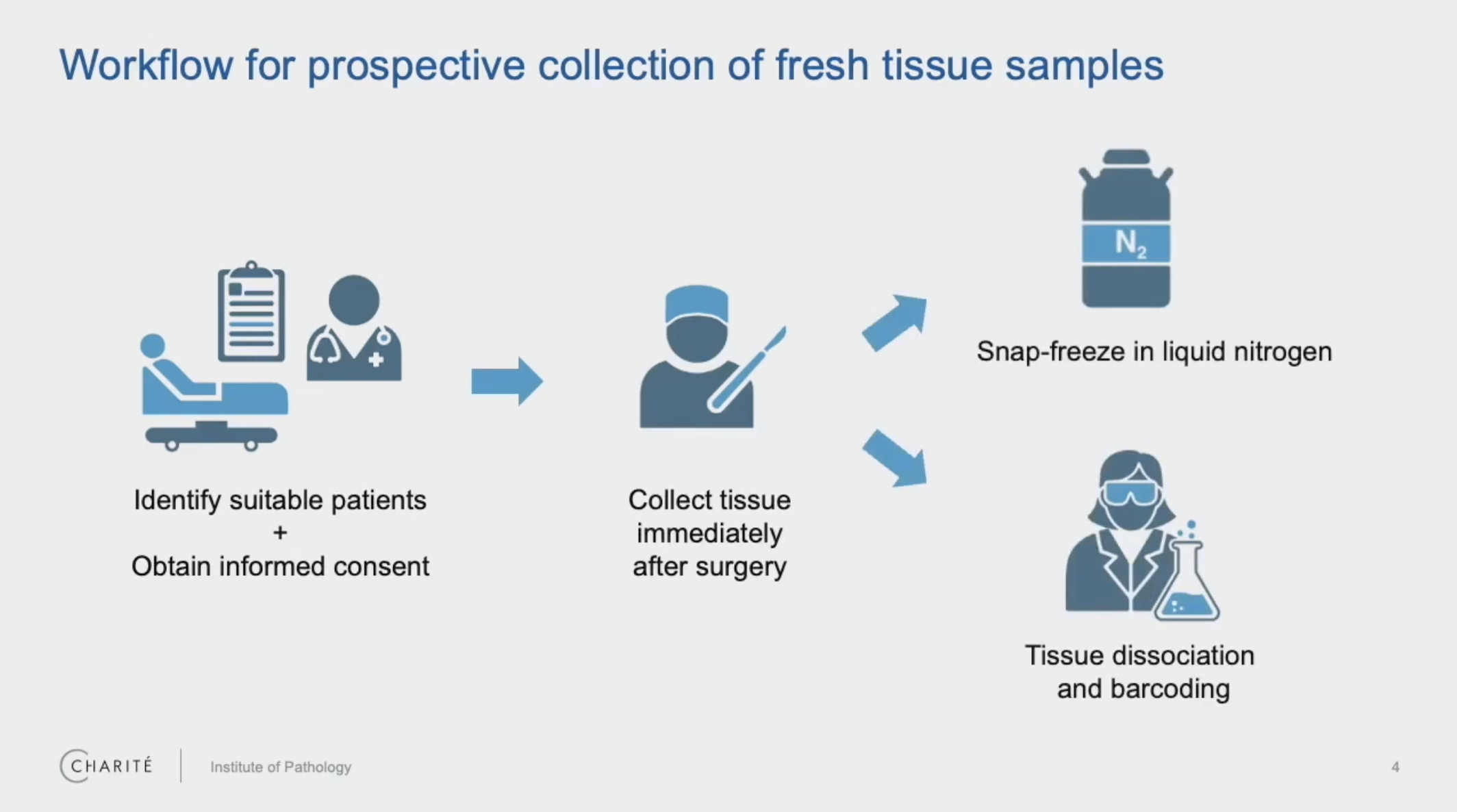 Screenshot from Dr. Philip Bischoff’s webinar with 10x Genomics, “Single cell analysis of FFPE tissue: Experiences and considerations from a pathologist’s perspective.” https://www.10xgenomics.com/videos/14oda4rnyh?autoplay=true