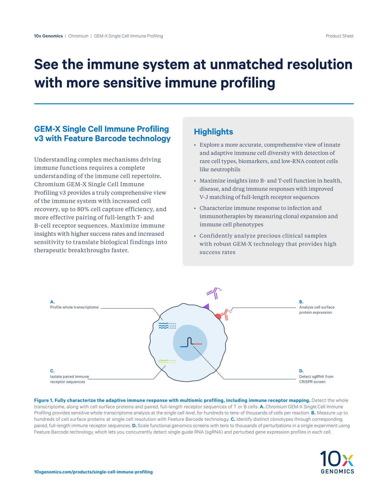 GEM-X Single Cell Immune Profiling v3 Product Sheet