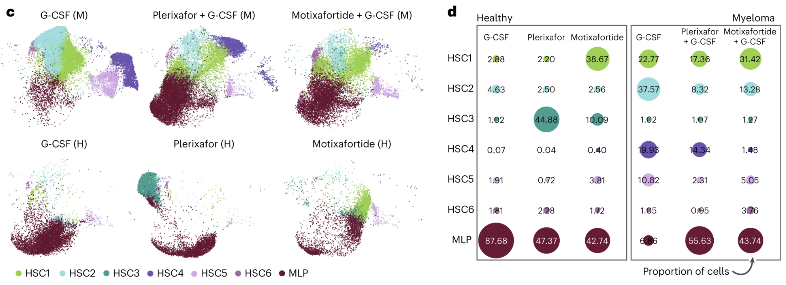 Figure 4C from Crees et al. shows UMAP plots of early progenitor populations (HSC1–6, MLP) across each cohort and mobilization regimen, with each cell colored by cell-type annotation and separated by mobilization regimen and cohort (M, multiple myeloma; H, healthy allo-donor). Figure 4D presents average cell-type proportions across each sample within each treatment group and cohort. Spot size indicates relative average expression, with the exact value overlayed.