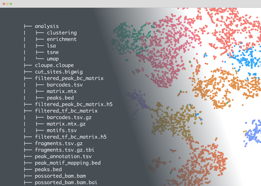 Cell Ranger ATAC image