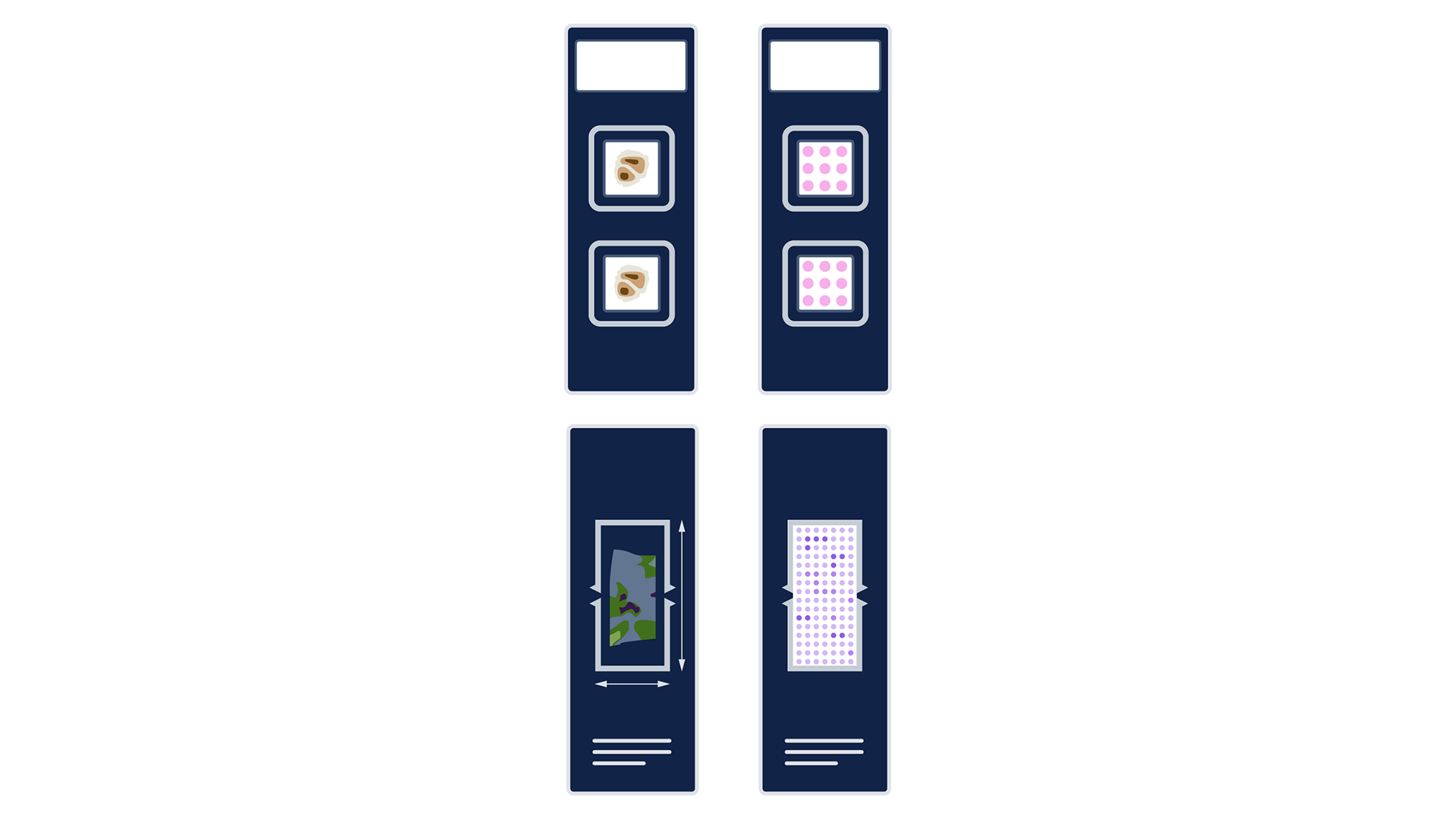 Figure 3. Example of tissue placement configurations on Visium HD and Xenium slides. Depending on the needs of your experiment, a single run of Visium HD (top) or Xenium (bottom) can be optimized with a variety of different tissue configurations, including (but not limited to) single large sections and tissue microarrays.