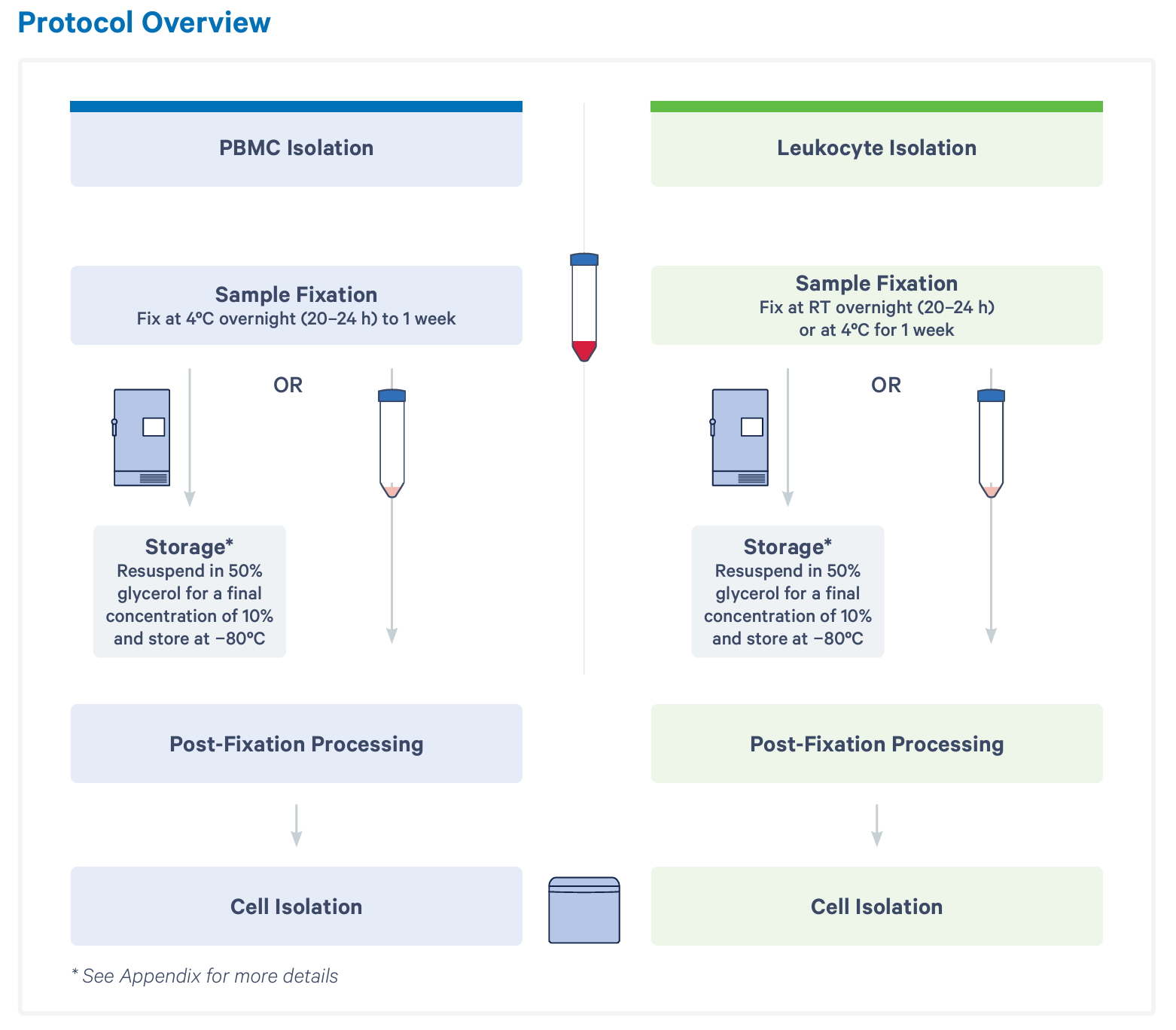 Workflow overview for whole blood fixation with Gene Expression Flex. Figure from 10x Genomics Demonstrated Protocol CG000721, “Blood Fixation and Cell Isolation for Chromium Fixed RNA Profiling.”