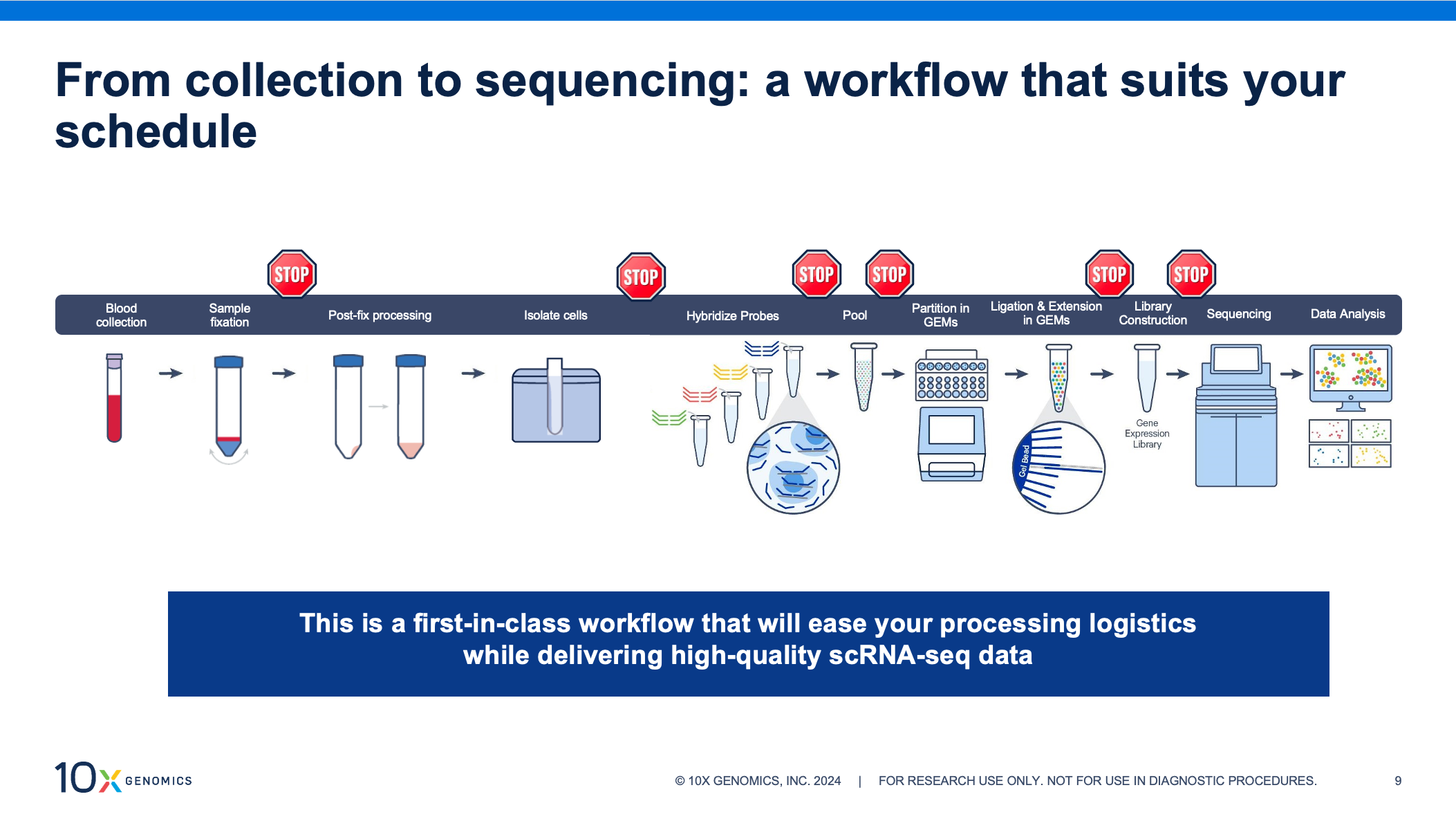 Overview of the Gene Expression Flex workflow with whole blood fixation, from sample collection to data analysis. Multiple optional stopping points let you perform scRNA-seq on your schedule. Screenshot from 10x Genomics webinar, “Direct fixation of whole blood for downstream single cell analysis.” https://www.10xgenomics.com/videos/wz3wawuofp