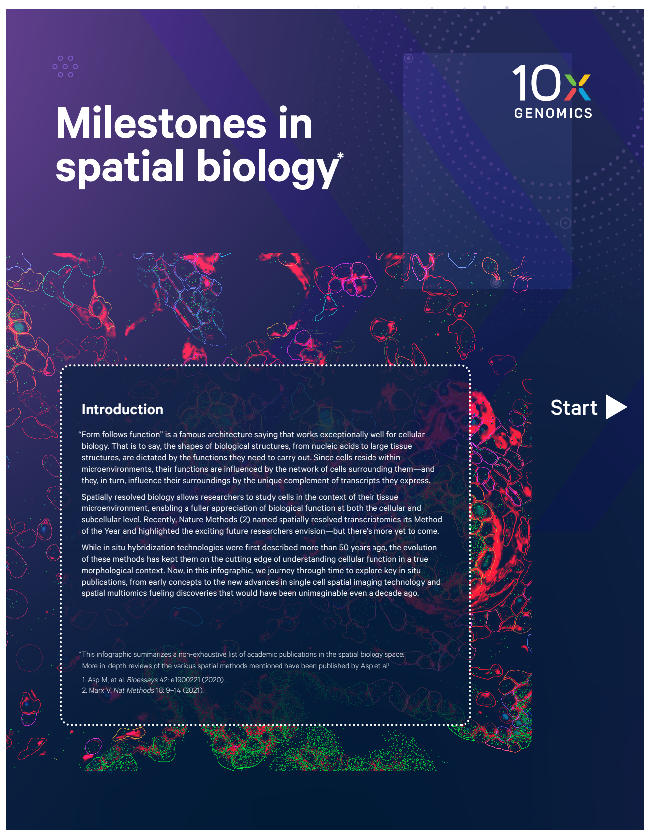 Infographic: Milestones in spatial biology