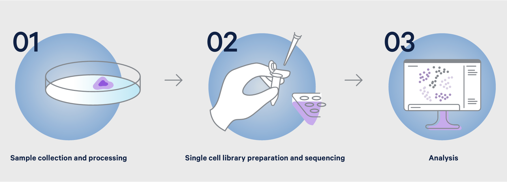 Figure 2. Three basic steps in every single cell experiment.