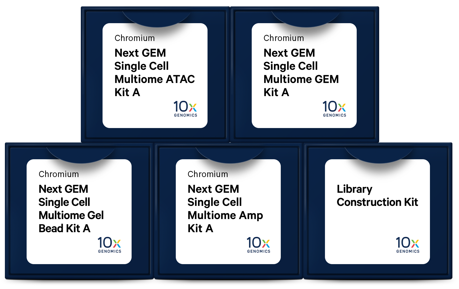 医学サンプル Chromium_Multiome_NextGEM_Prod