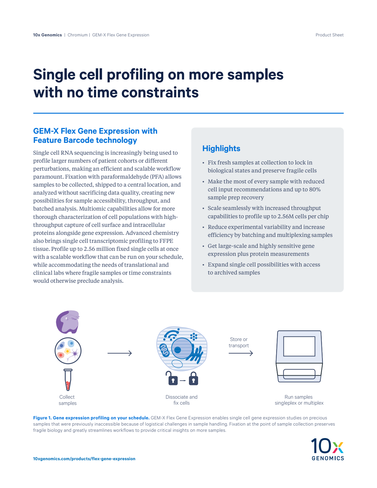 GEM-X Flex Product Sheet: Single cell profiling on more samples with no time constraints