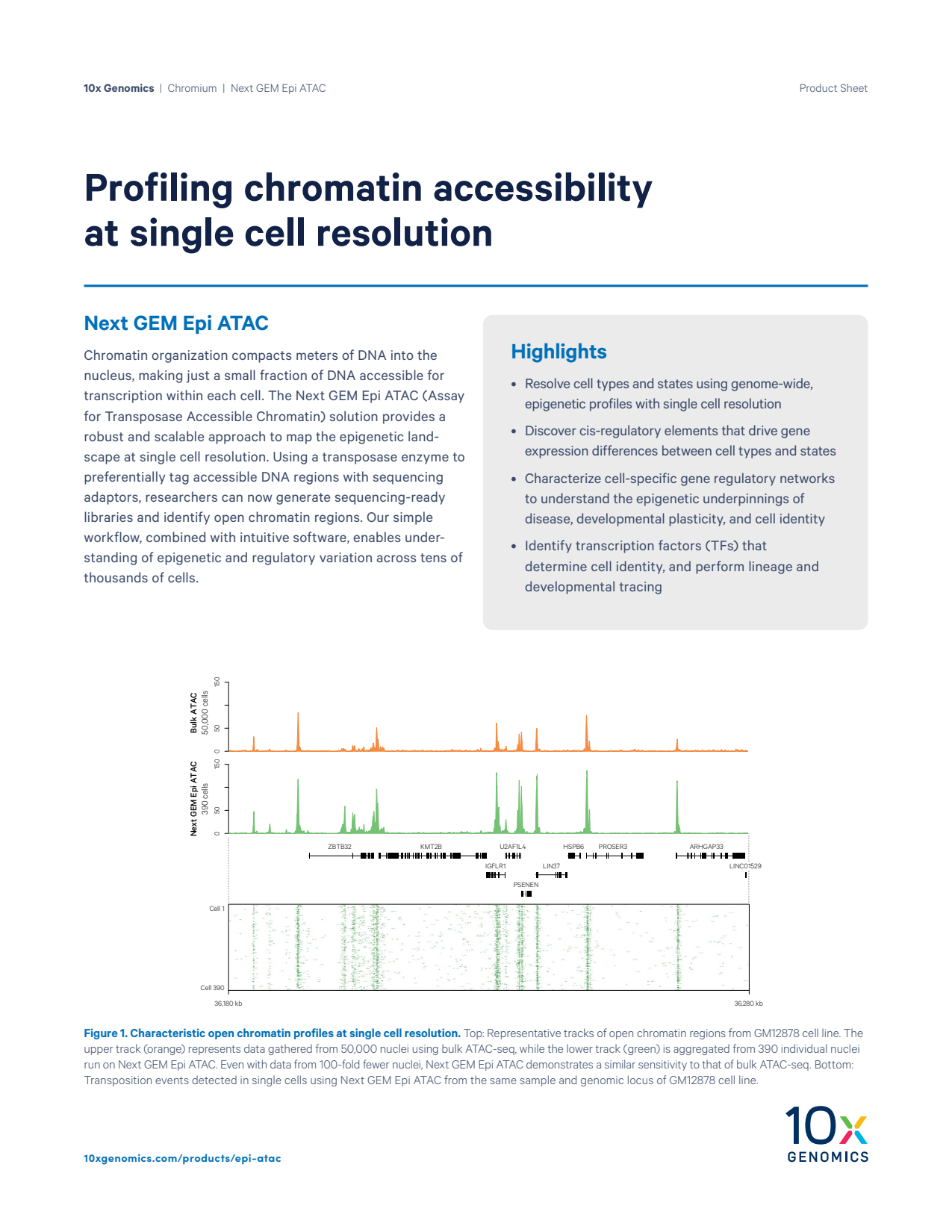 Next GEM Epi ATAC Product Sheet: Profiling chromatin accessibility at single cell resolution