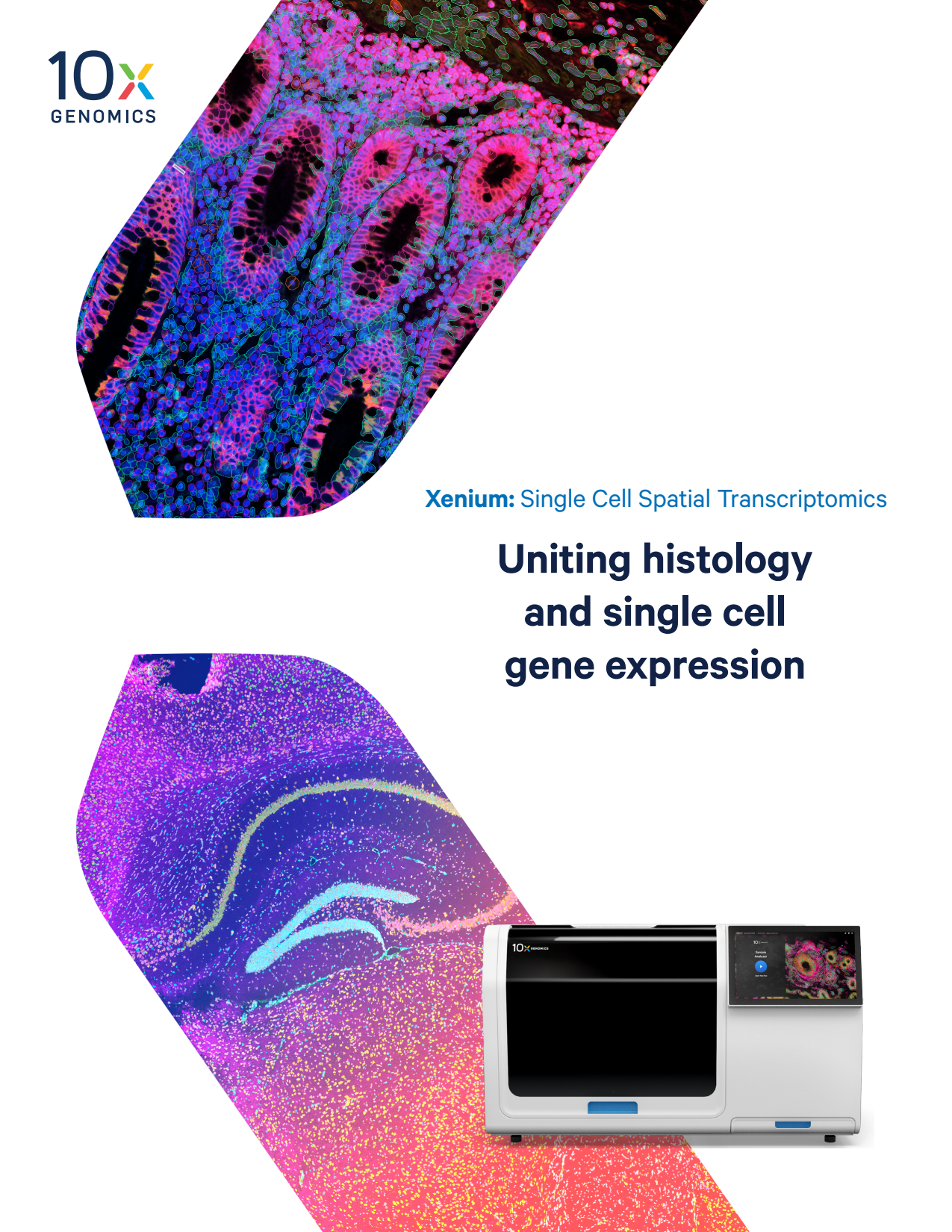 Xenium Brochure: Uniting histology and single cell gene expression