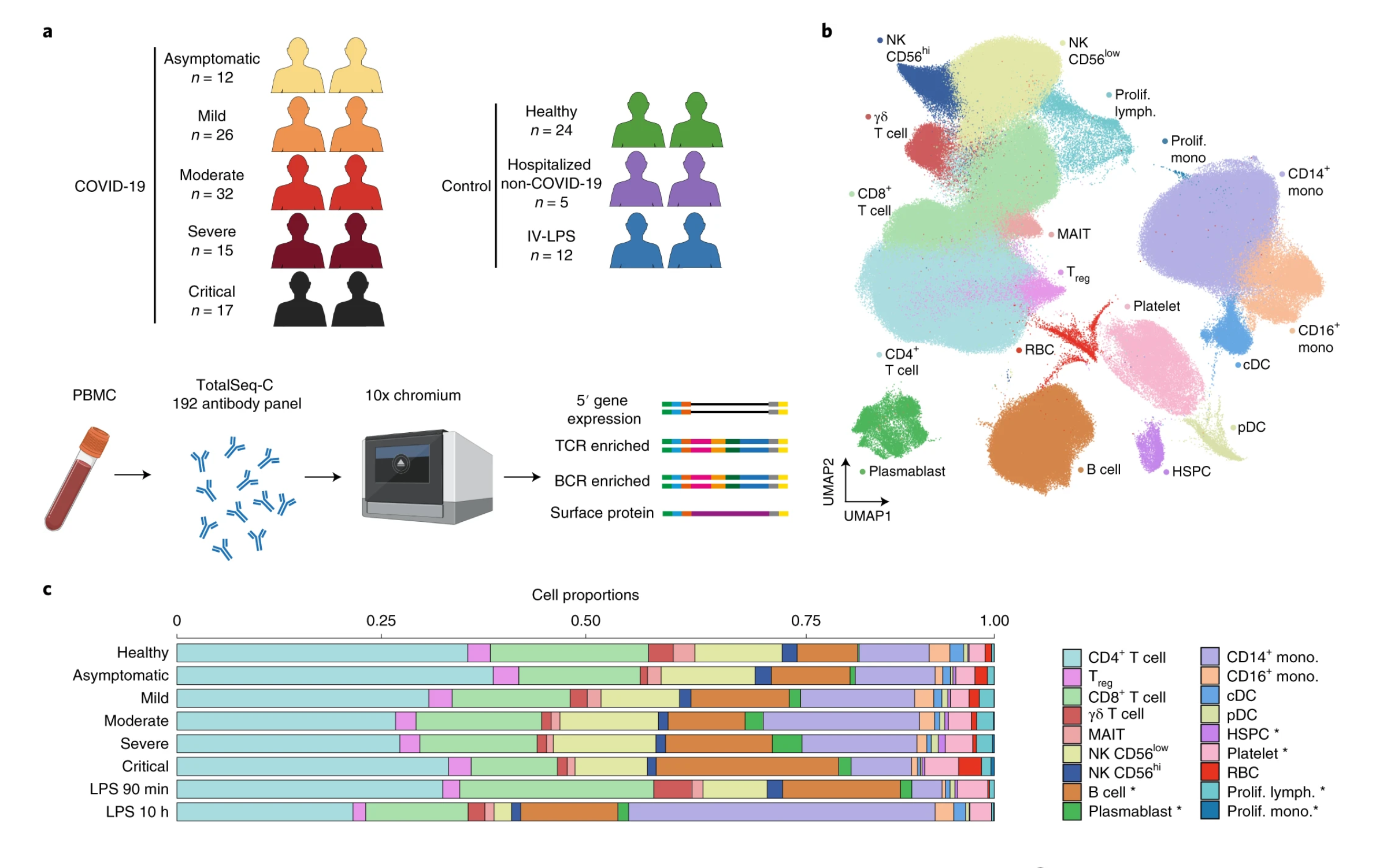 Figure 1. Multiomic analysis of PBMCs collected from healthy and infected patients reveals varied immune cell populations across disease severity. (A) Overview of the participants included, as well as the samples and data collected. Figure was created using BioRender.com. (B) UMAP visualization of all 781,123 cells after QC. Leiden clusters based on 5′ gene expression shown and colored by cell type. Lymph, lymphocyte; mono, monocyte; prolif, proliferating. (C) Bar plot of the proportion of cell types shown in b, separated by condition and COVID-19 severity status. Credit: Figure 1A–C from Stephenson et al (1). CC BY 4.0.