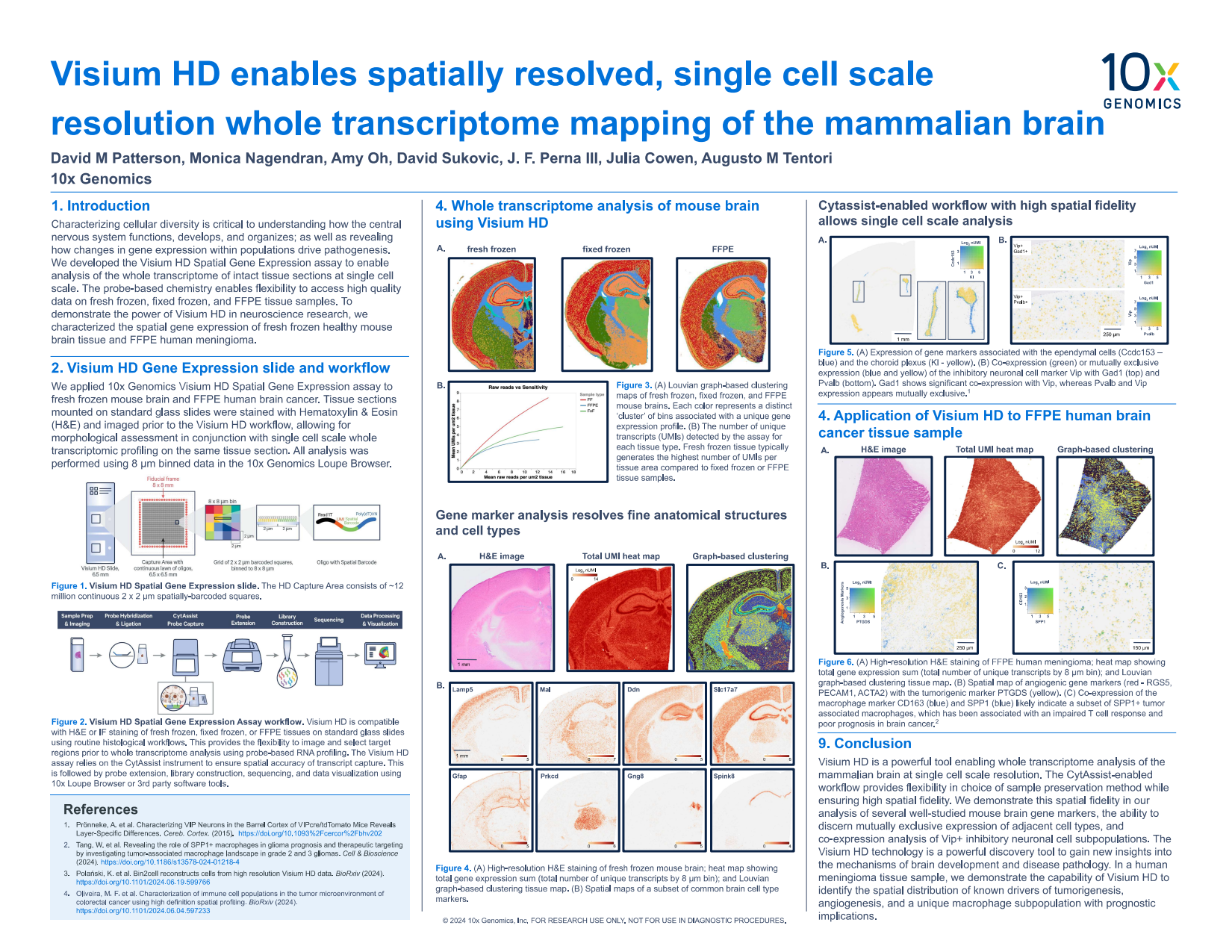 Visium HD enables spatially resolved, single cell scale resolution whole transcriptome mapping of the mammalian brain