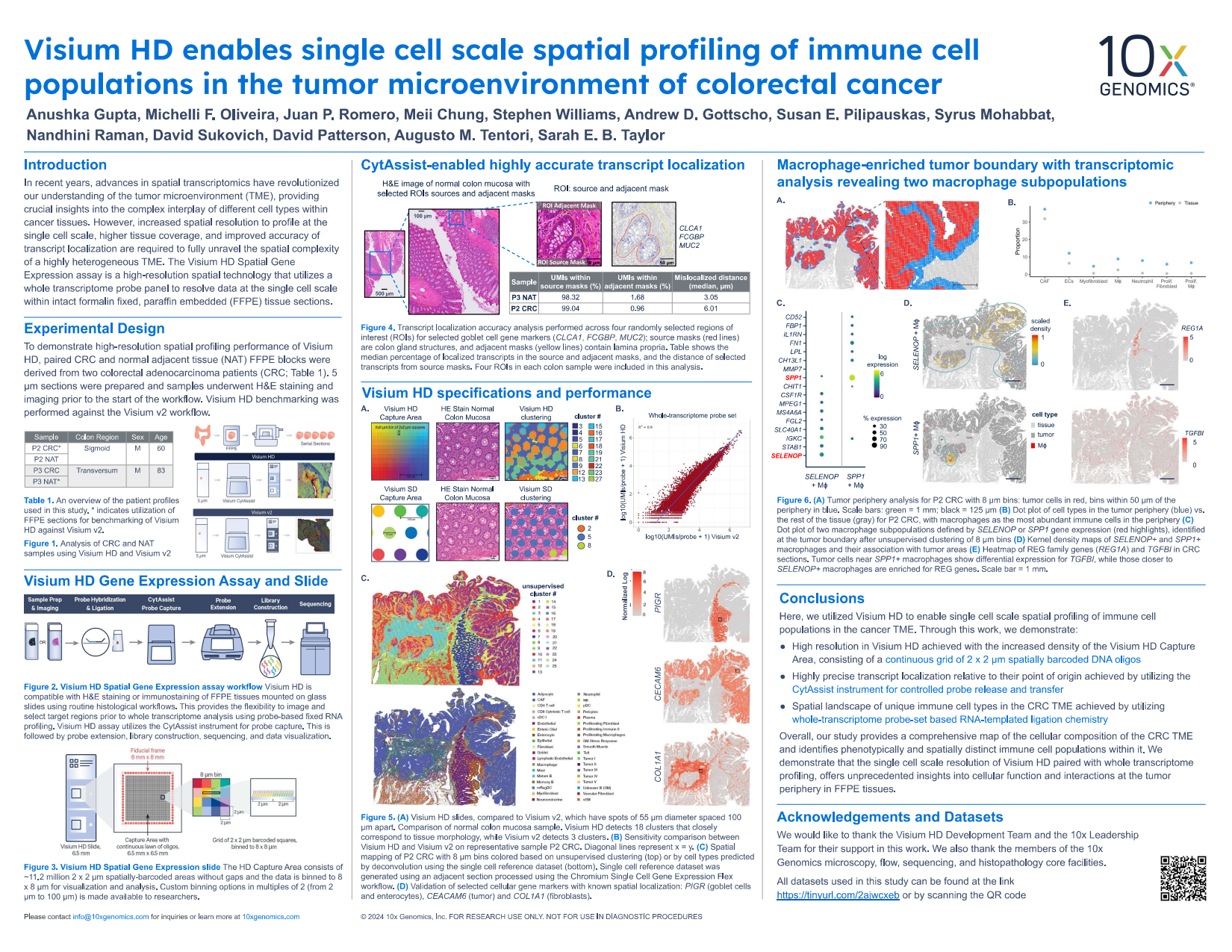 Visium HD enables single cell scale spatial profiling of immune cell populations in the tumor microenvironment of colorectal cancer