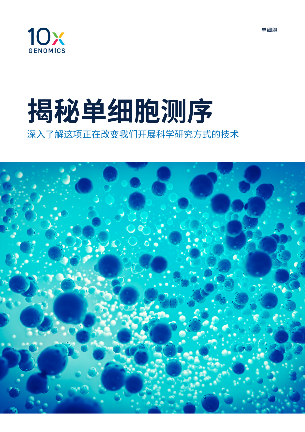 CN_10x_LIT000144_eBook_Demysti