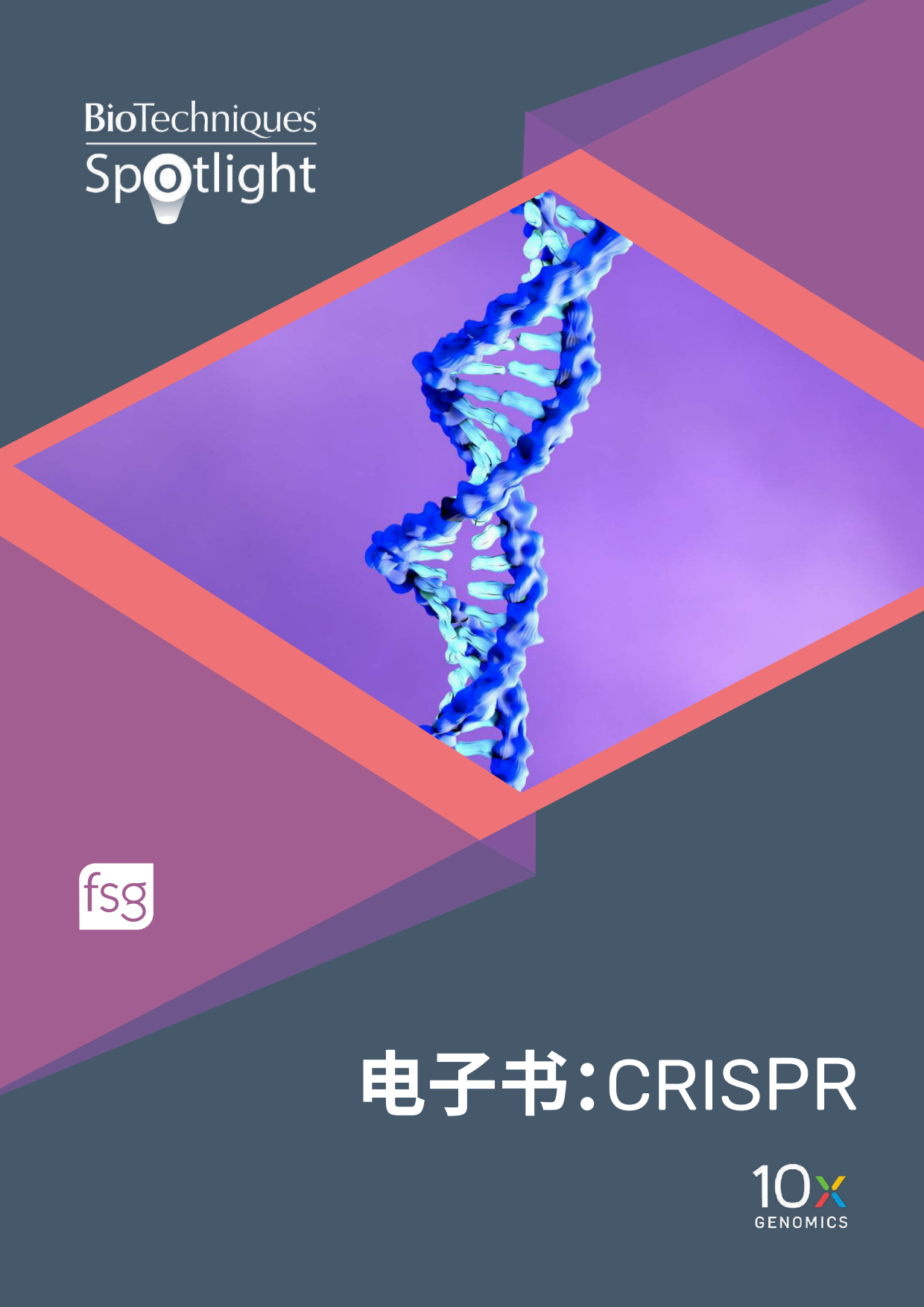なんとかβ 様専門 CN_10x_SAM000640_CRISPR_ebook_