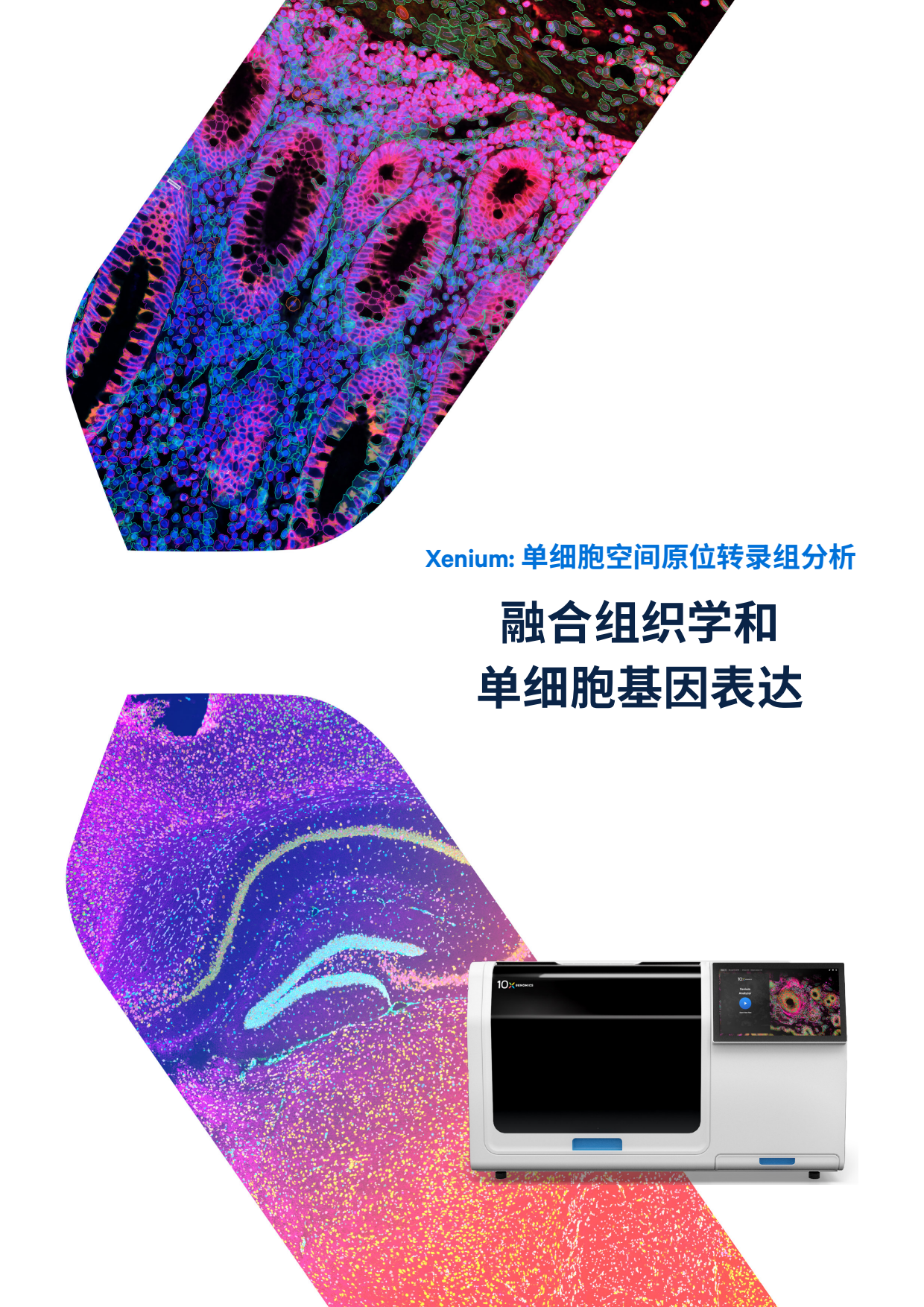 CN_LIT000225_Xenium_20brochure
