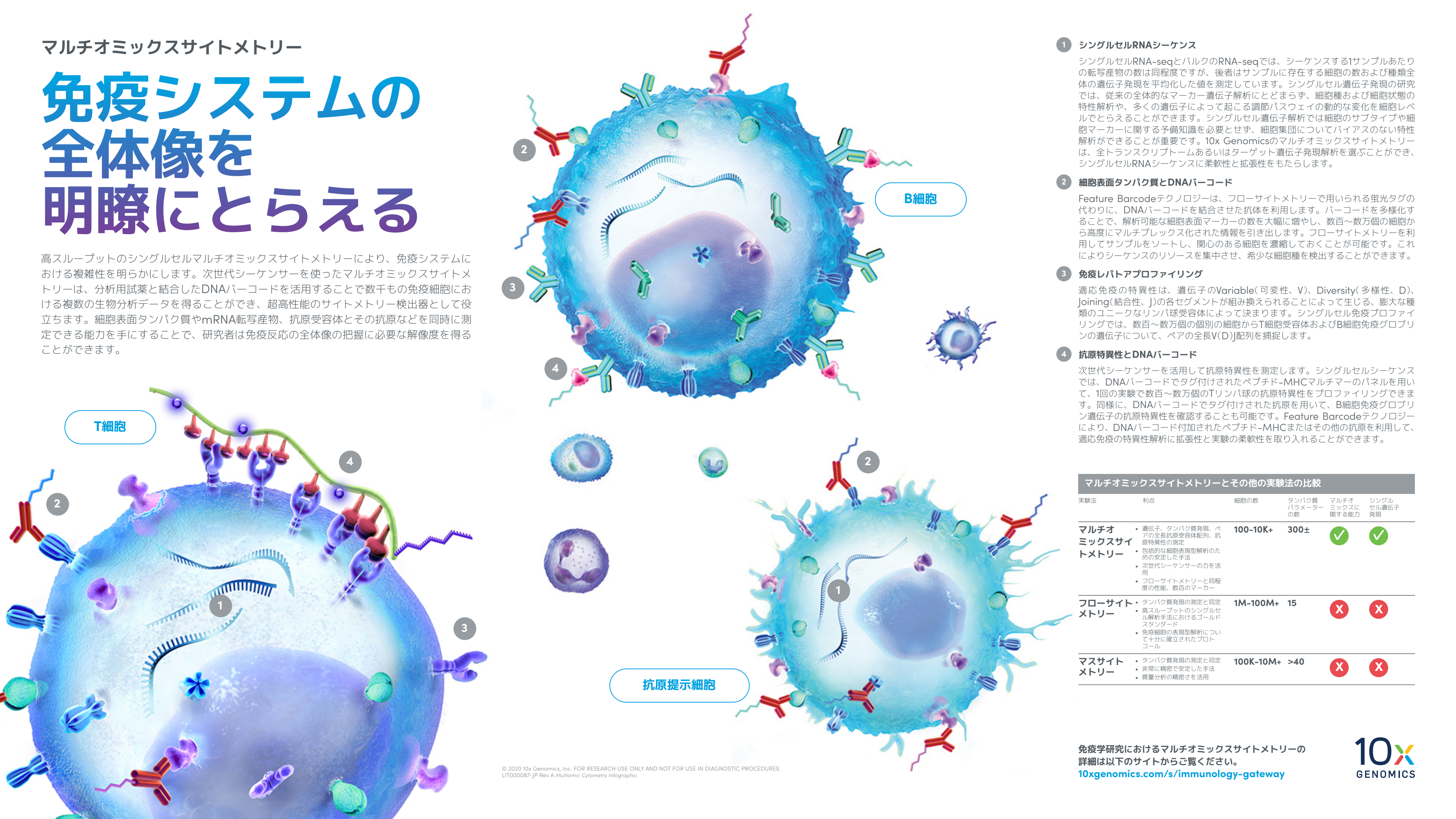 JP_10x_IM_Multiomic-
